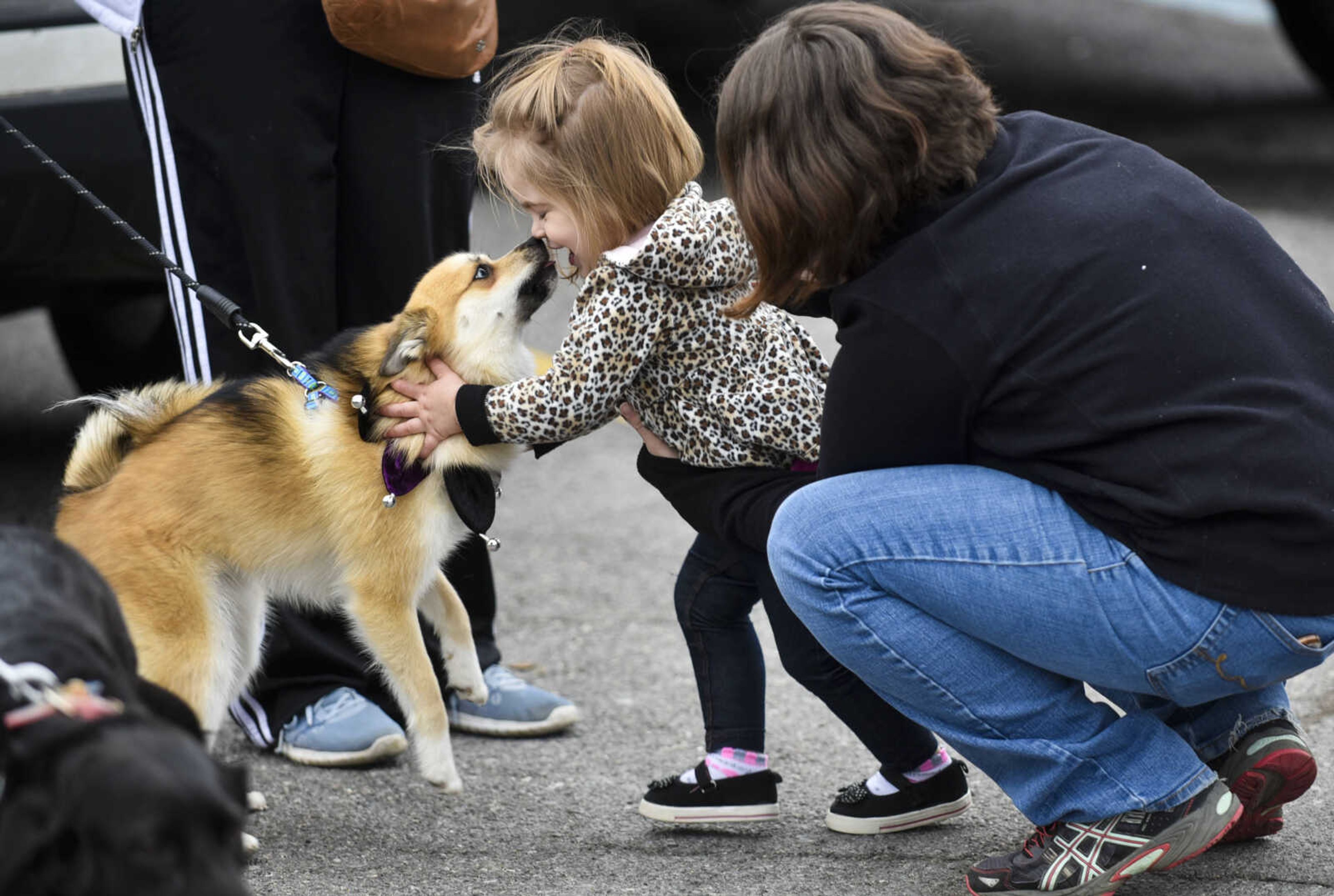 Emilee McKee, 1, center, pets Mowgli, a pomsky, before the start of the 2nd annual Mardi Paws Parade of Pets on Sunday, March 18, 2018, in Cape Girardeau.