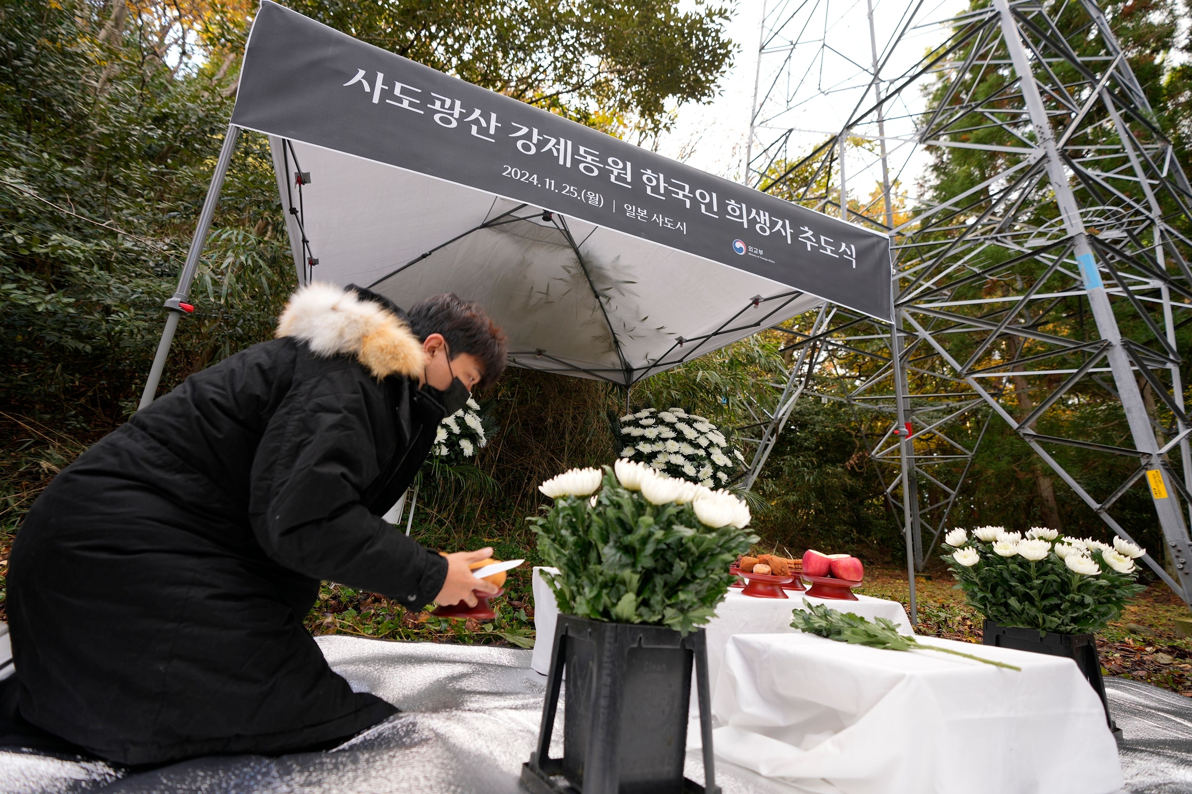 A staff prepare offerings prior to a memorial service held by relatives of Korean victims and South Korean officials in Sado, Niigata prefecture, Japan, Monday, Nov. 25, 2024, after boycotting a memorial organized by Japanese officials. (AP Photo/Eugene Hoshiko)