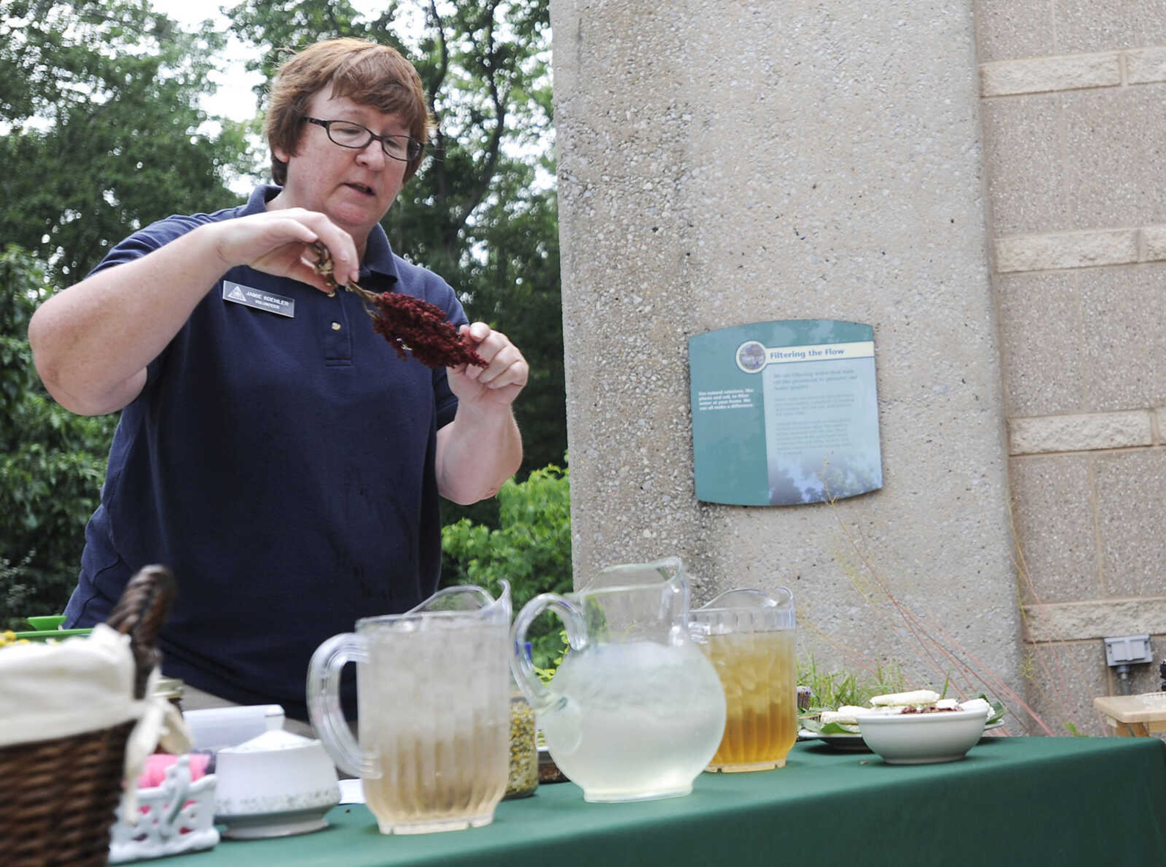 Volunteer Jamie Koehler shows some fragrant sumac berries used to make tea at the Cape Girardeau Conservation Nature Center during the Garden Tea Party Saturday, June 22, at the nature center located at 2289 County Park Drive in Cape Girardeau. Koehler showed attendees several plants native to Missouri that can be used to make teas before taking them back to the center's patio for a tea party featuring food and drink made from native plants. The party was one of several educational events being held at the center this summer including the Outdoor Adventure Camp, Tuesday, June 25 to Wednesday, June 26, Dutch Oven Drop-by and Tools of the past, Saturday, June 29, Wild Edibles, Saturday, July 6, Gone Frogging, Friday, July 19, and Fishing 101 Saturday, July 27. More information on these and other events can be found on the center's website http://mdc.mo.gov/node/297