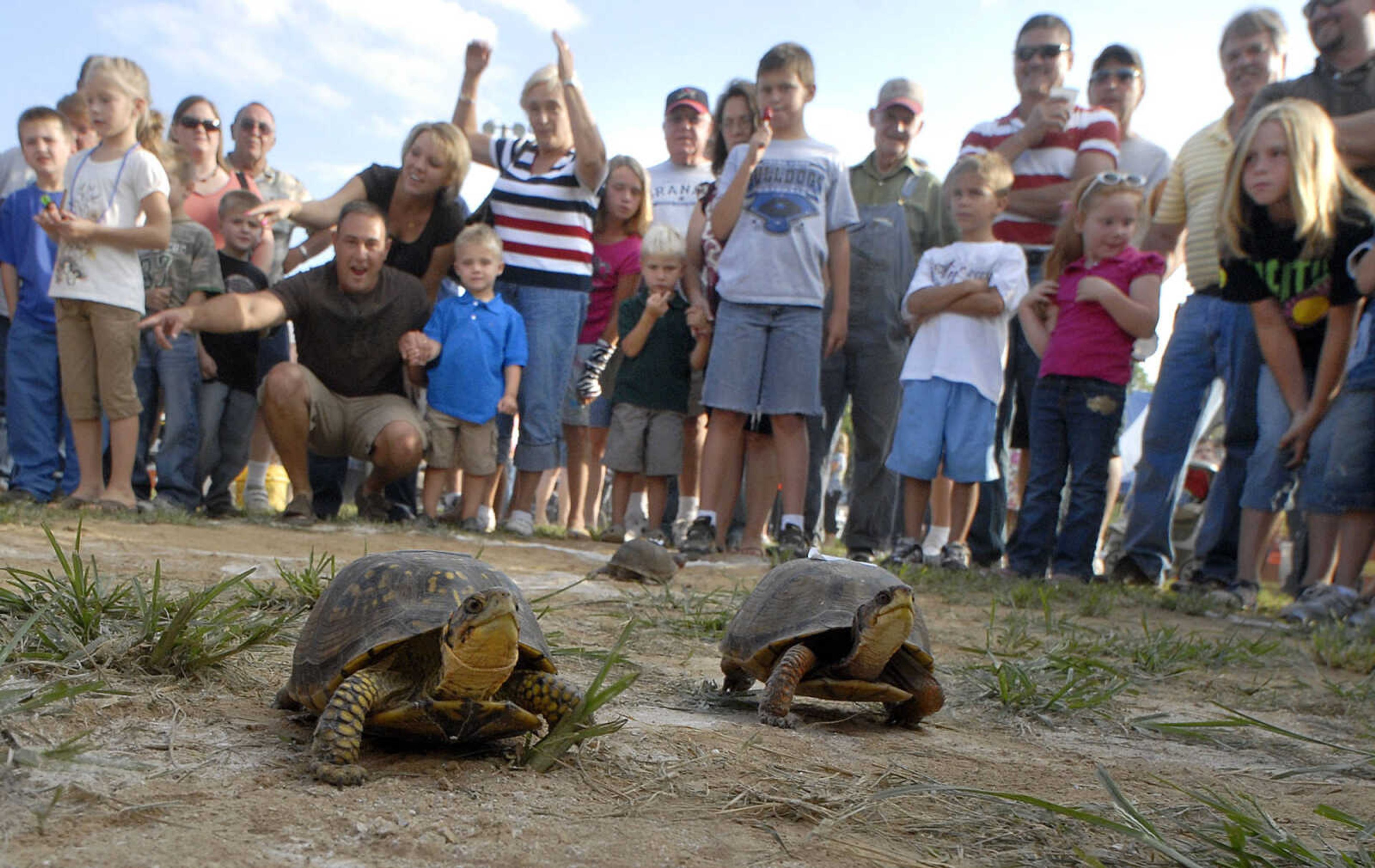 FRED LYNCH ~ flynch@semissourian.com
Turtle race fans urge their favorites to the finish line, a circle in the middle of a baseball diamond Saturday at the annual New Hamburg Picnic.