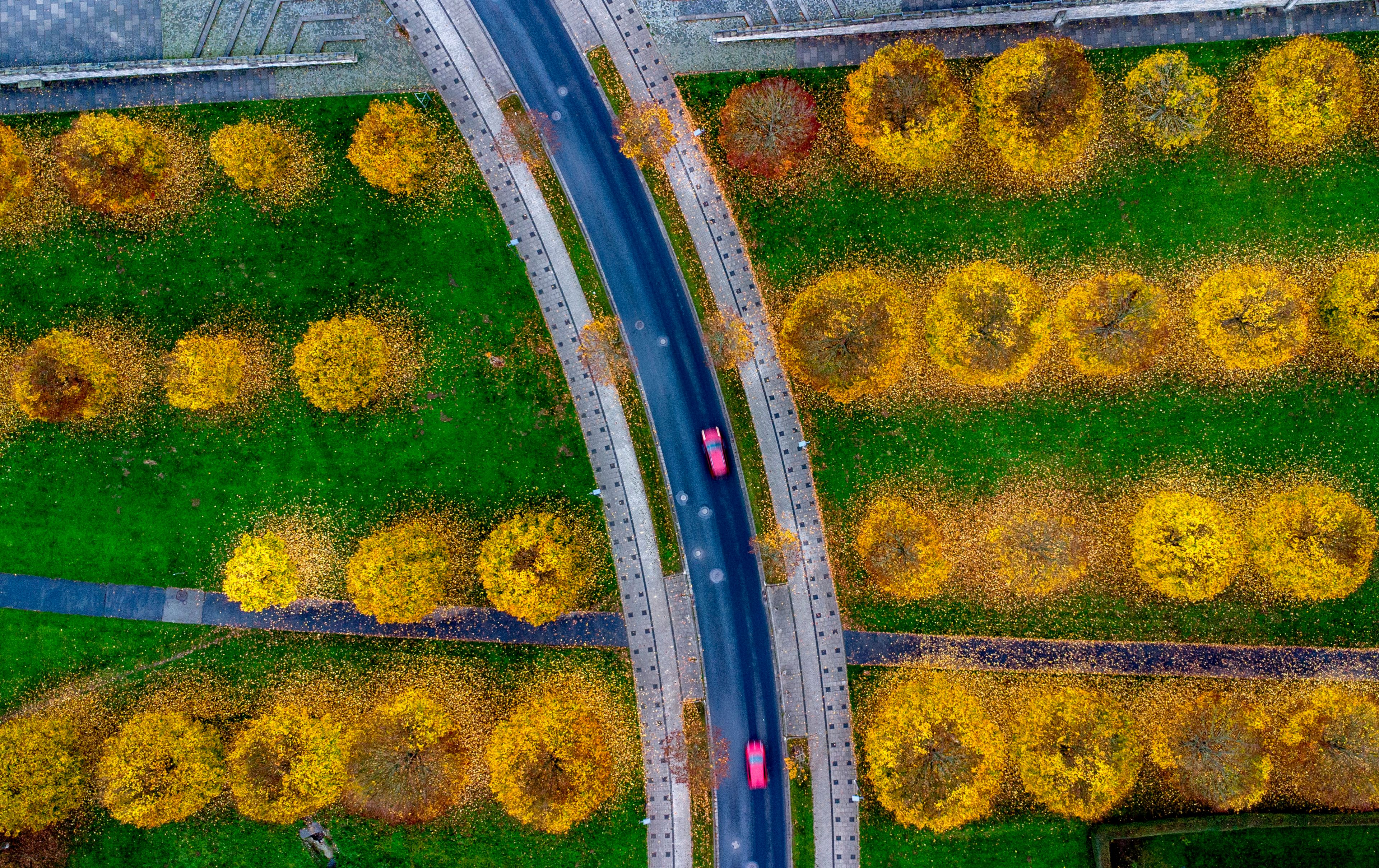 Cars drive on a road through a small park in Frankfurt, Germany, Friday, Nov. 1, 2024. (AP Photo/Michael Probst)