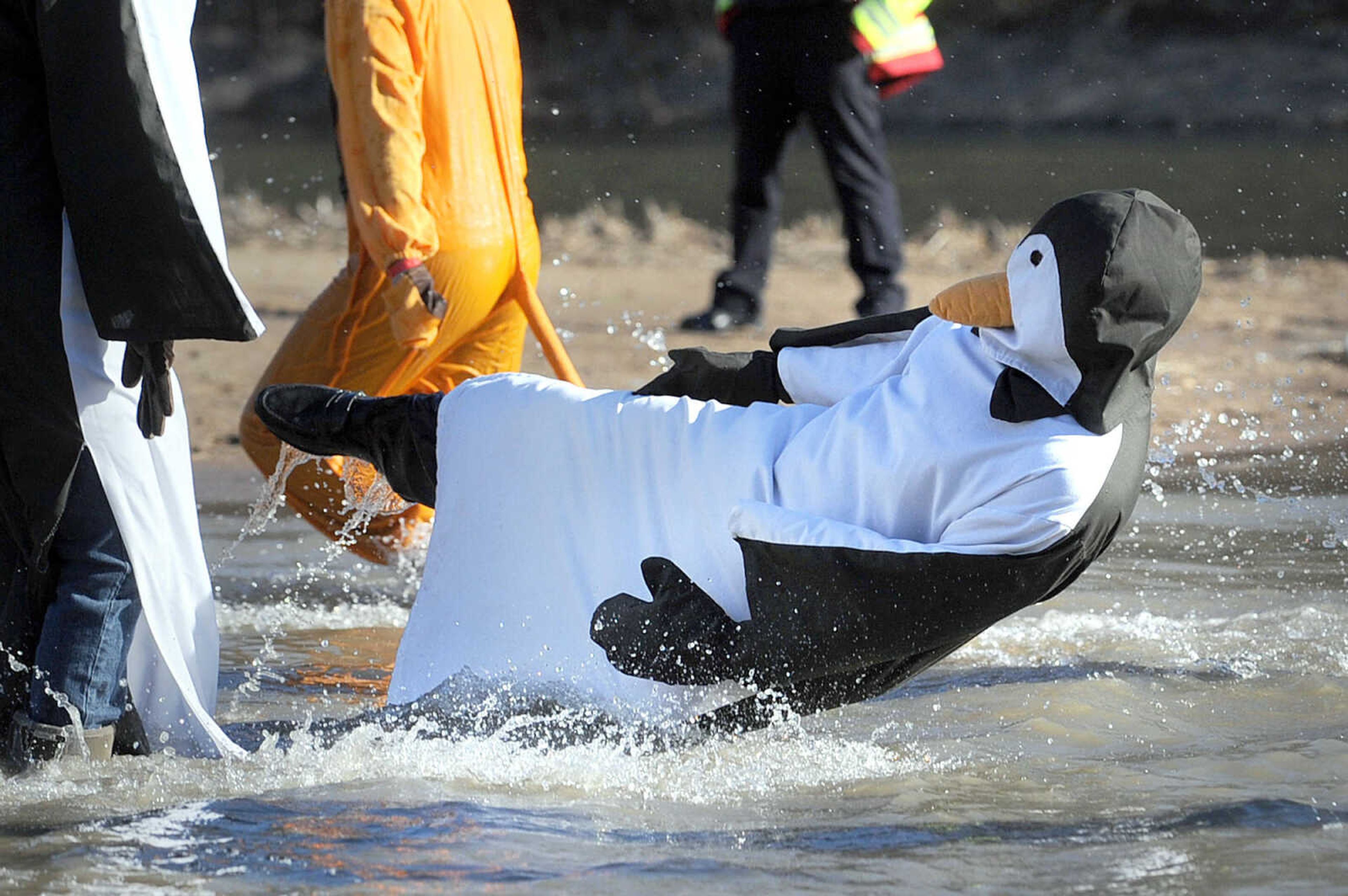 LAURA SIMON ~ lsimon@semissourian.com
People plunge into the cold waters of Lake Boutin Saturday afternoon, Feb. 2, 2013 during the Polar Plunge at Trail of Tears State Park. Thirty-six teams totaling 291 people took the annual plunge that benefits Special Olympics Missouri.