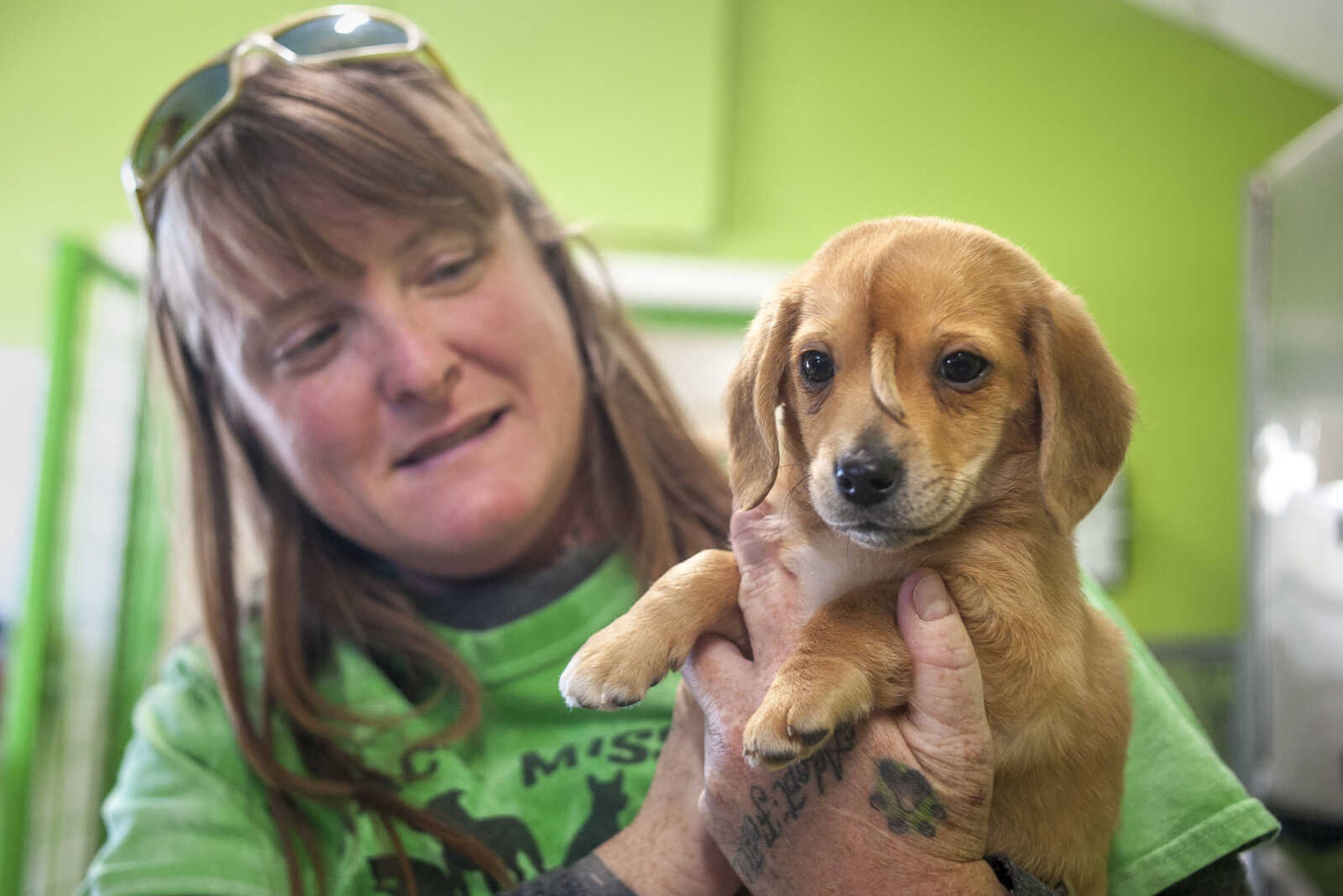 A 10-week-old golden retriever puppy with a small tail growing between his eyes, dubbed "Narwhal the Little Magical Furry Unicorn," is seen with Mac's Mission animal rescue founder Rochelle Steffen Wednesday, Nov. 13, 2019, at Mac's Mission in Jackson, Missouri.  
The puppy's condition has led to widespread online notoriety and, Steffen said, a flood of adoption offers.