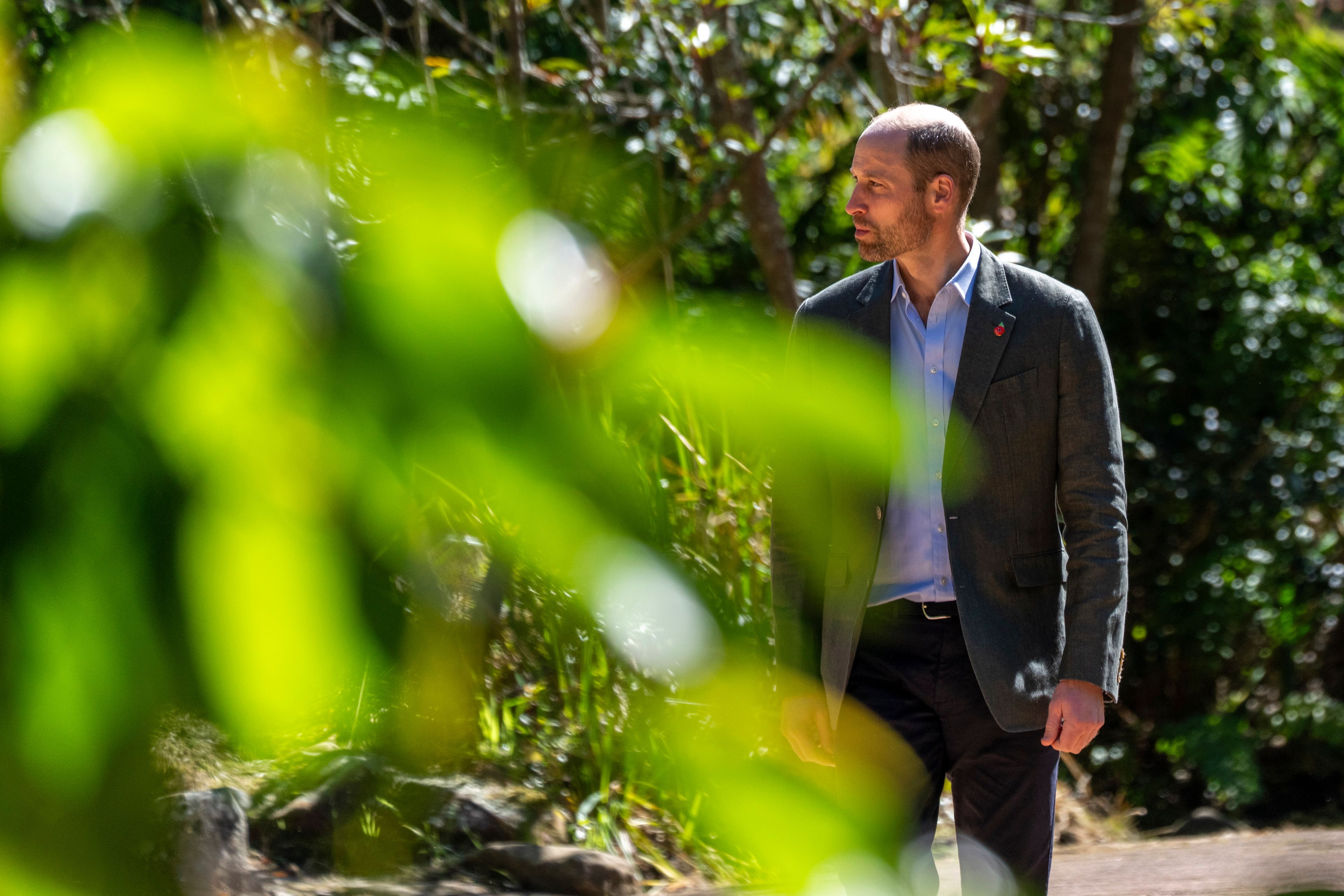 Britain's Prince William walks through the Kirstenbosch Botanical Gardens in Cape Town, South Africa, Wednesday, Nov. 6, 2024. (AP Photo/Jerome Delay, Pool)