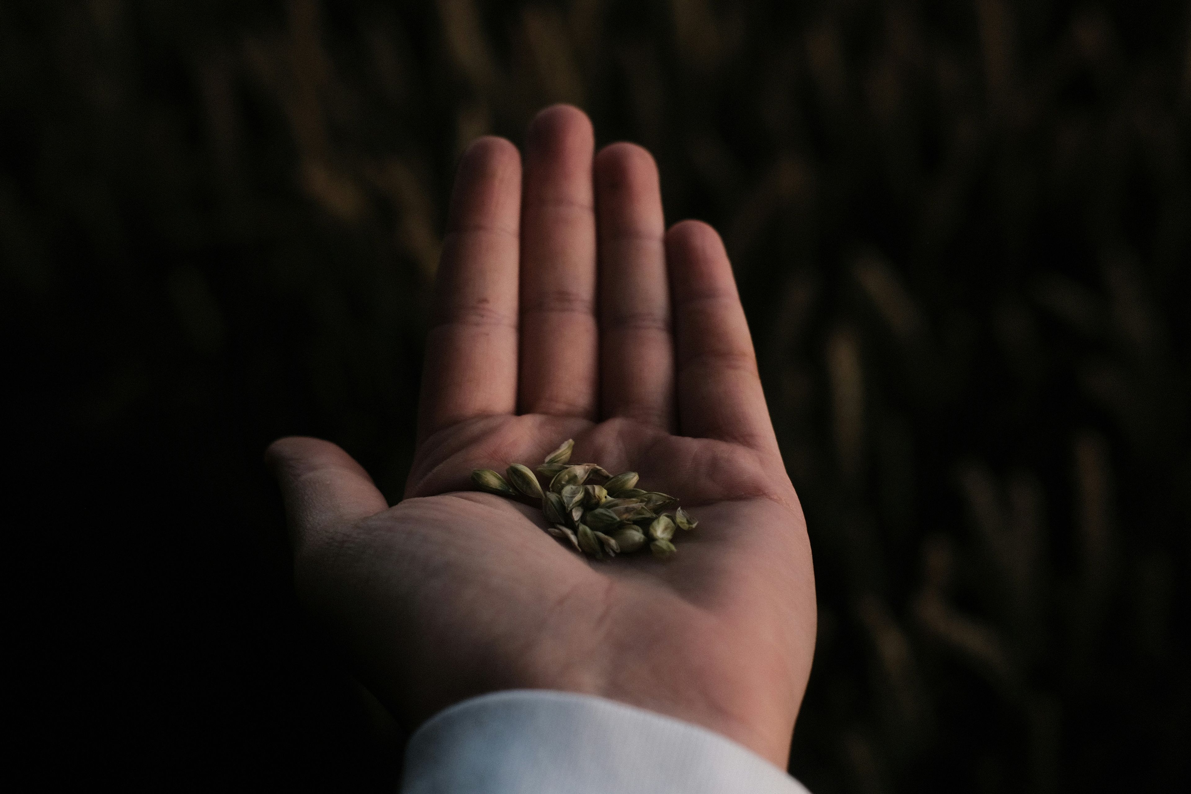 Spirituality Column: Walk slow and sow seeds