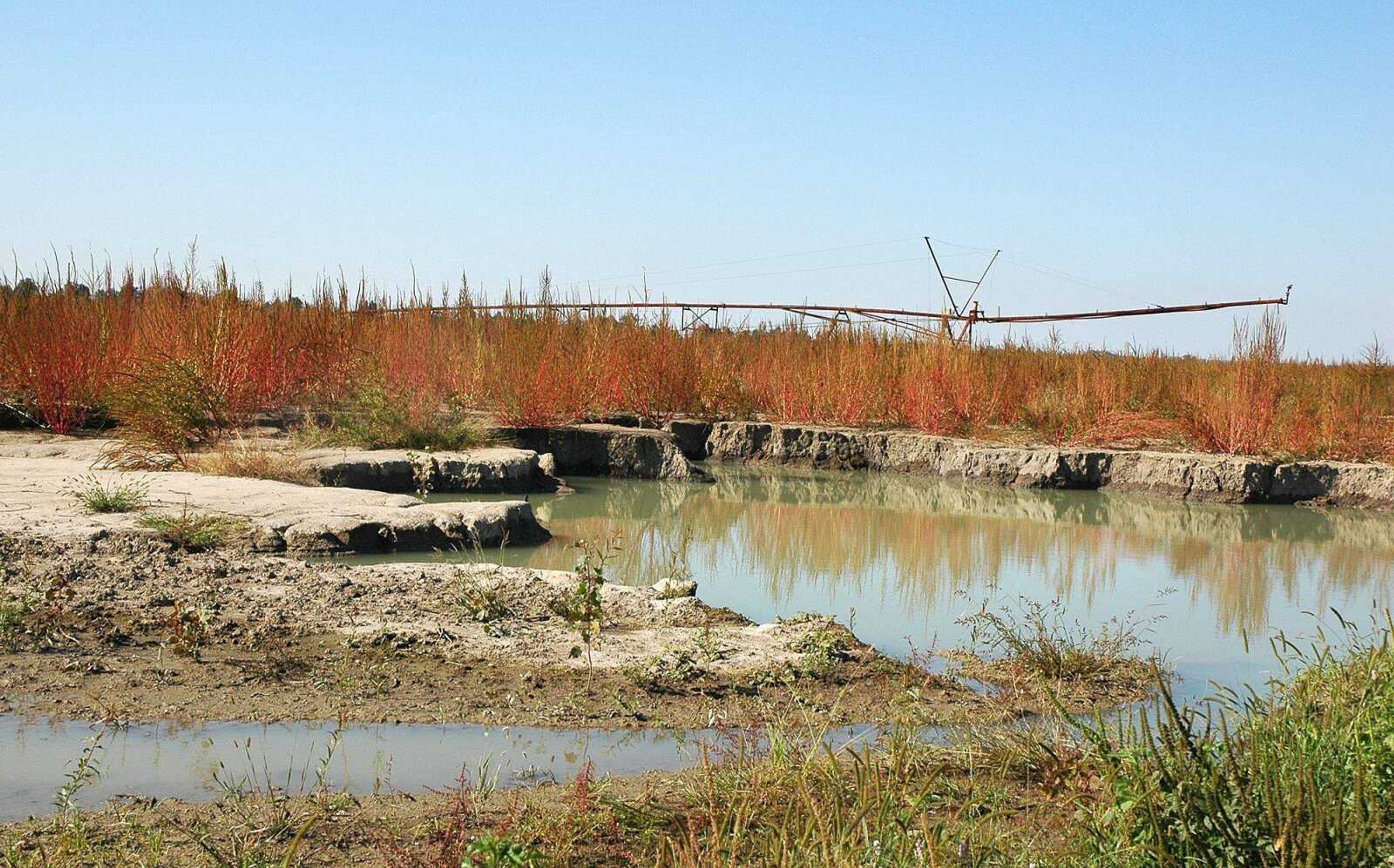 Water fills an area of farmland in Mississippi County that sustained severe erosion from the intentional breach of Birds Point levee in May.