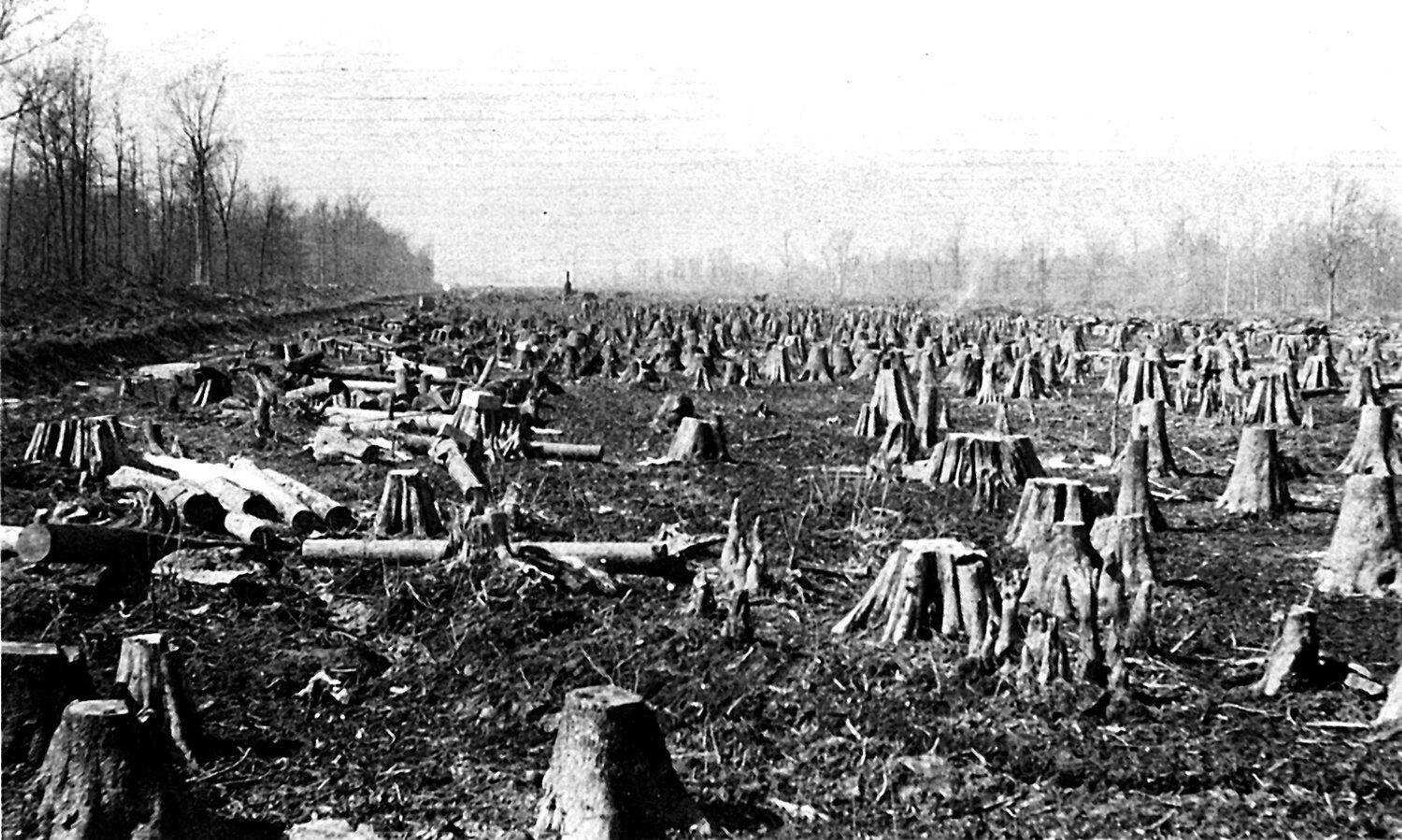 Trees were cleared for the Diversion Channel construction in 1917. (Little River Drainage District ~ submitted photo)