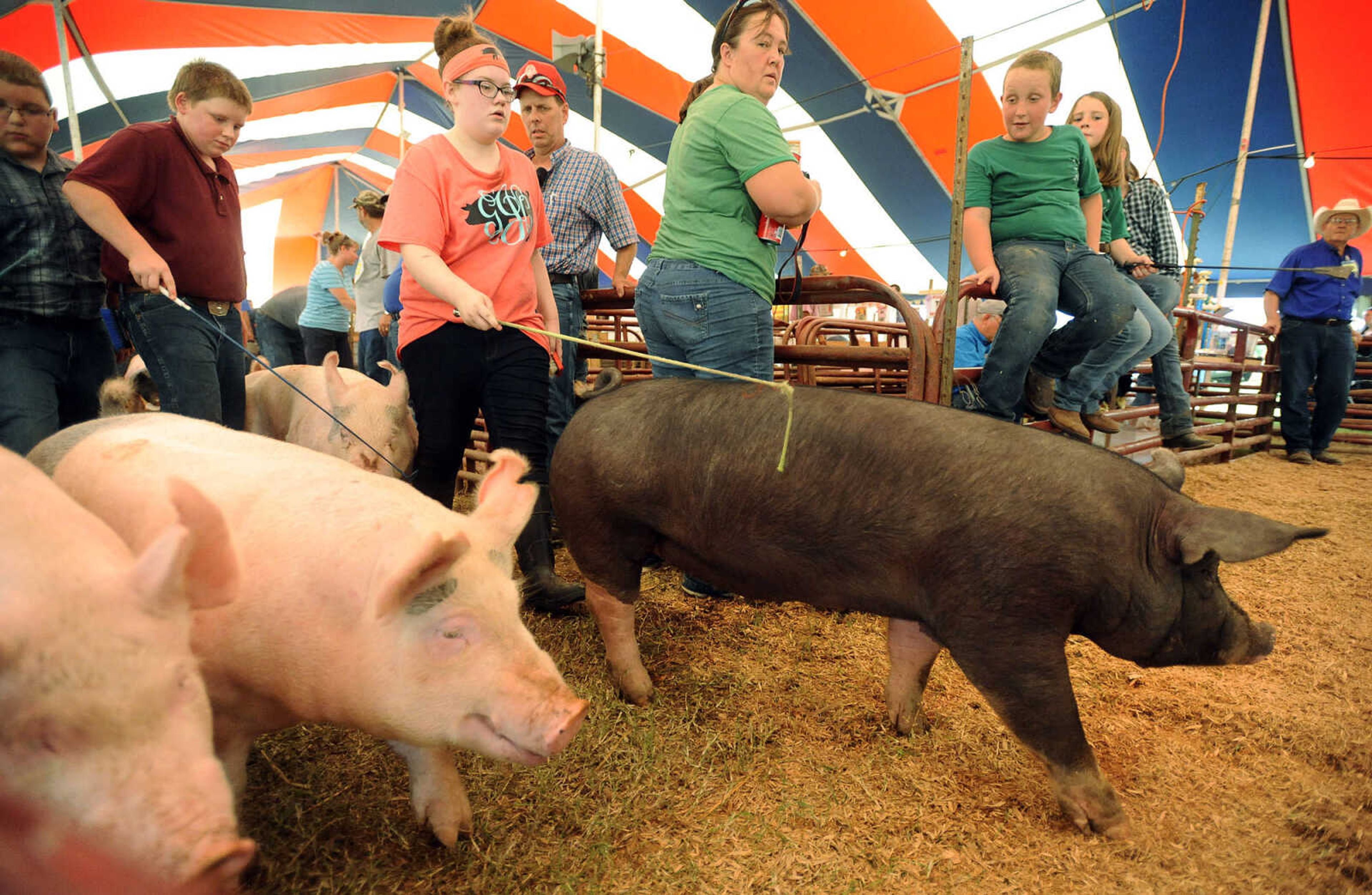 LAURA SIMON ~ lsimon@semissourian.com

The SEMO District Fair continues on Wednesday, Sept. 14, 2016, at Arena Park in Cape Girardeau.