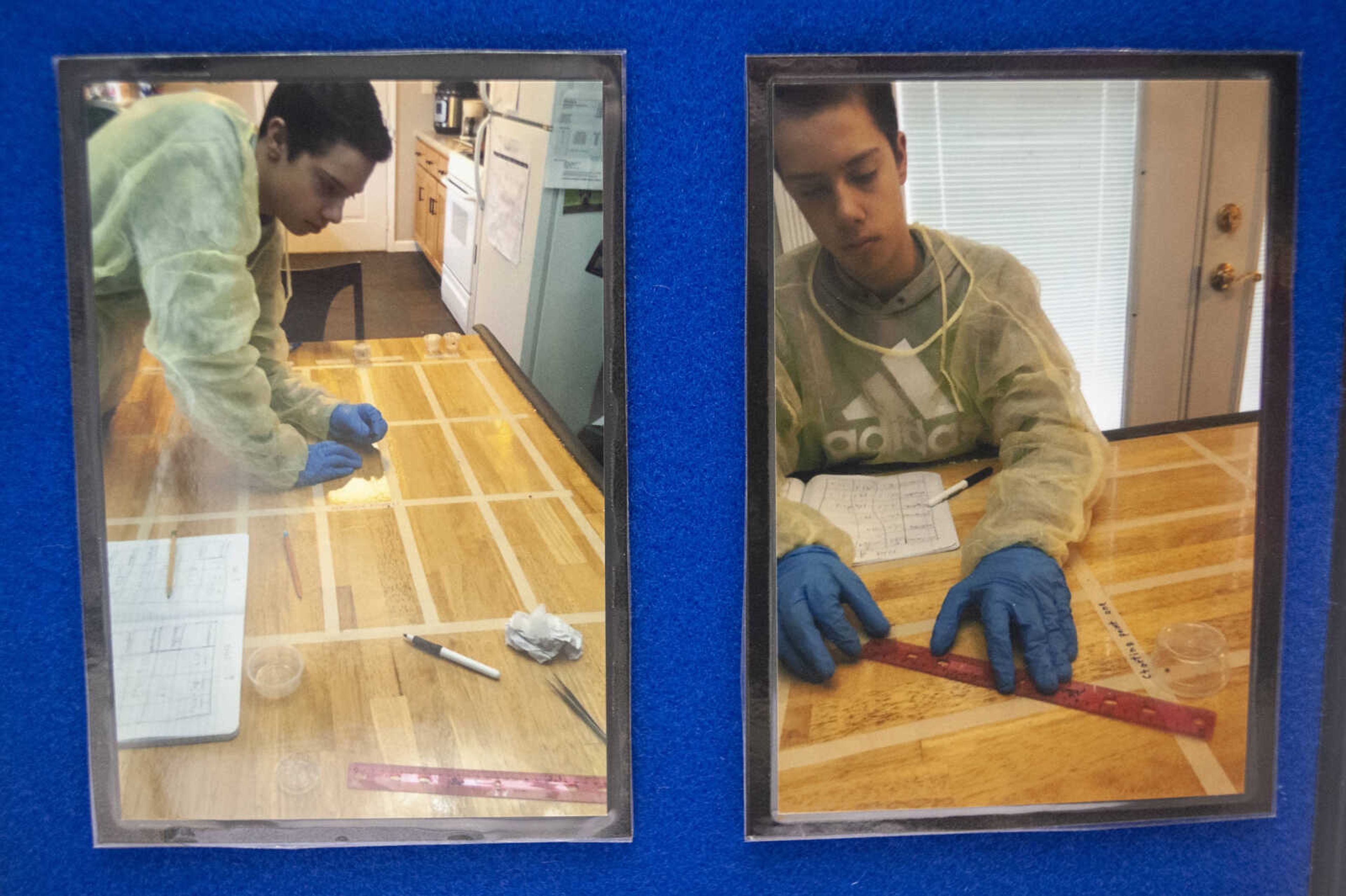 Pictures of Grant Roseman of Jackson, 15, working on his science fair project as seen on his project's display board during the 63rd annual Southeast Missouri Regional Science Fair on Tuesday, March 5, 2019, at the Show Me Center in Cape Girardeau.