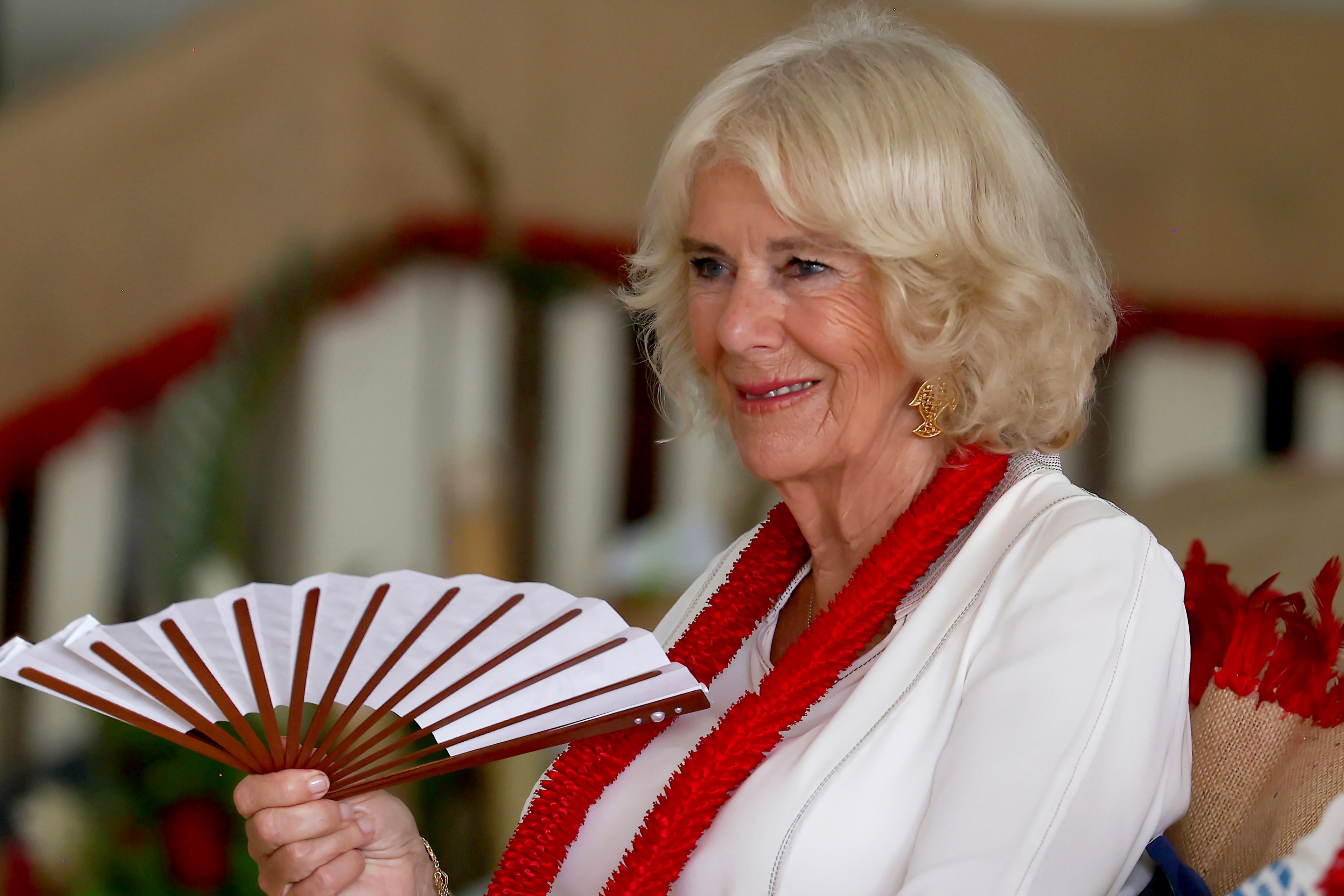 Queen Camilla has a chest infection and will miss the UK's annual Remembrance Sunday events