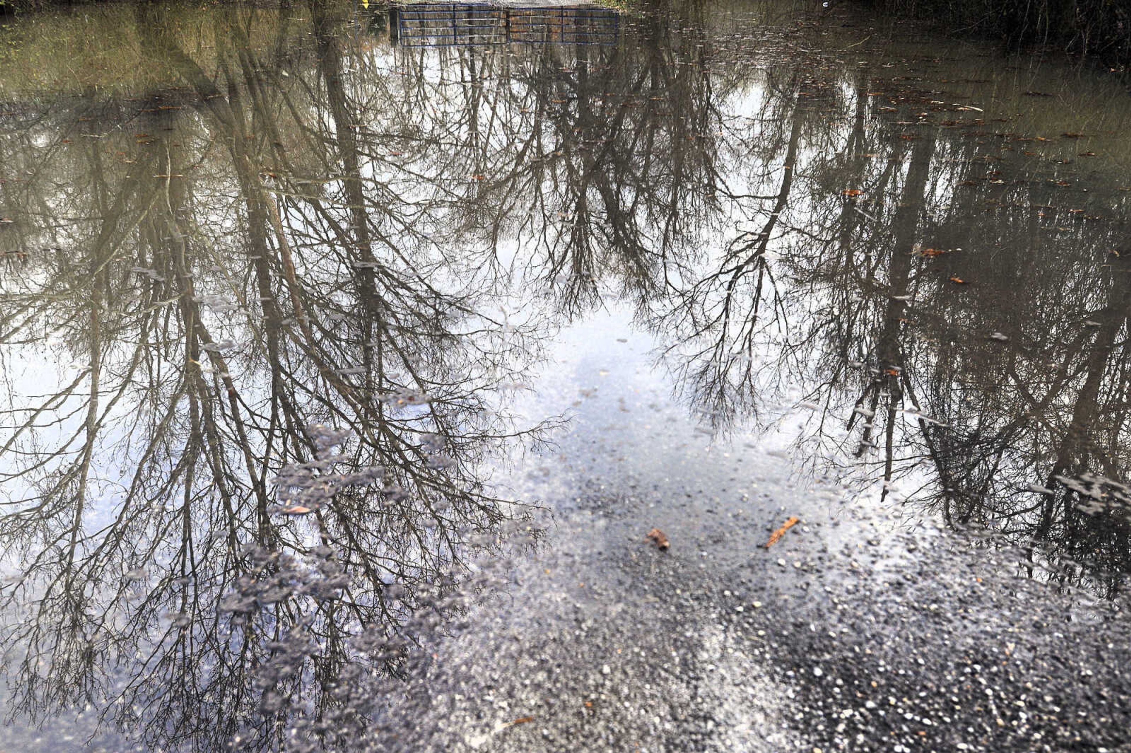 LAURA SIMON ~ lsimon@semissourian.com

The skyline is reflected in floodwater over a Cape Girardeau County road, Tuesday, Dec. 29, 2015.