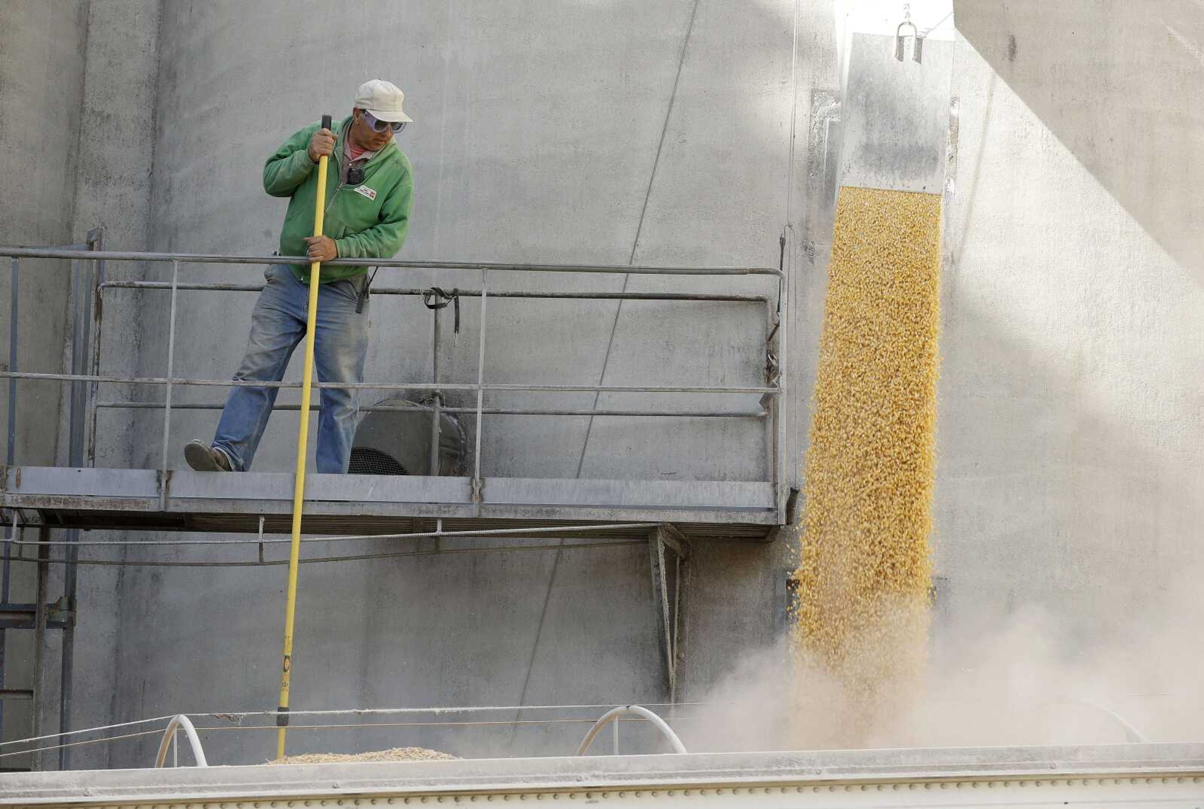 Elevator employee Dennis Black loads corn into a trailer for an area farmer at the North Iowa Cooperative Oct. 7 in Thornton, Iowa.