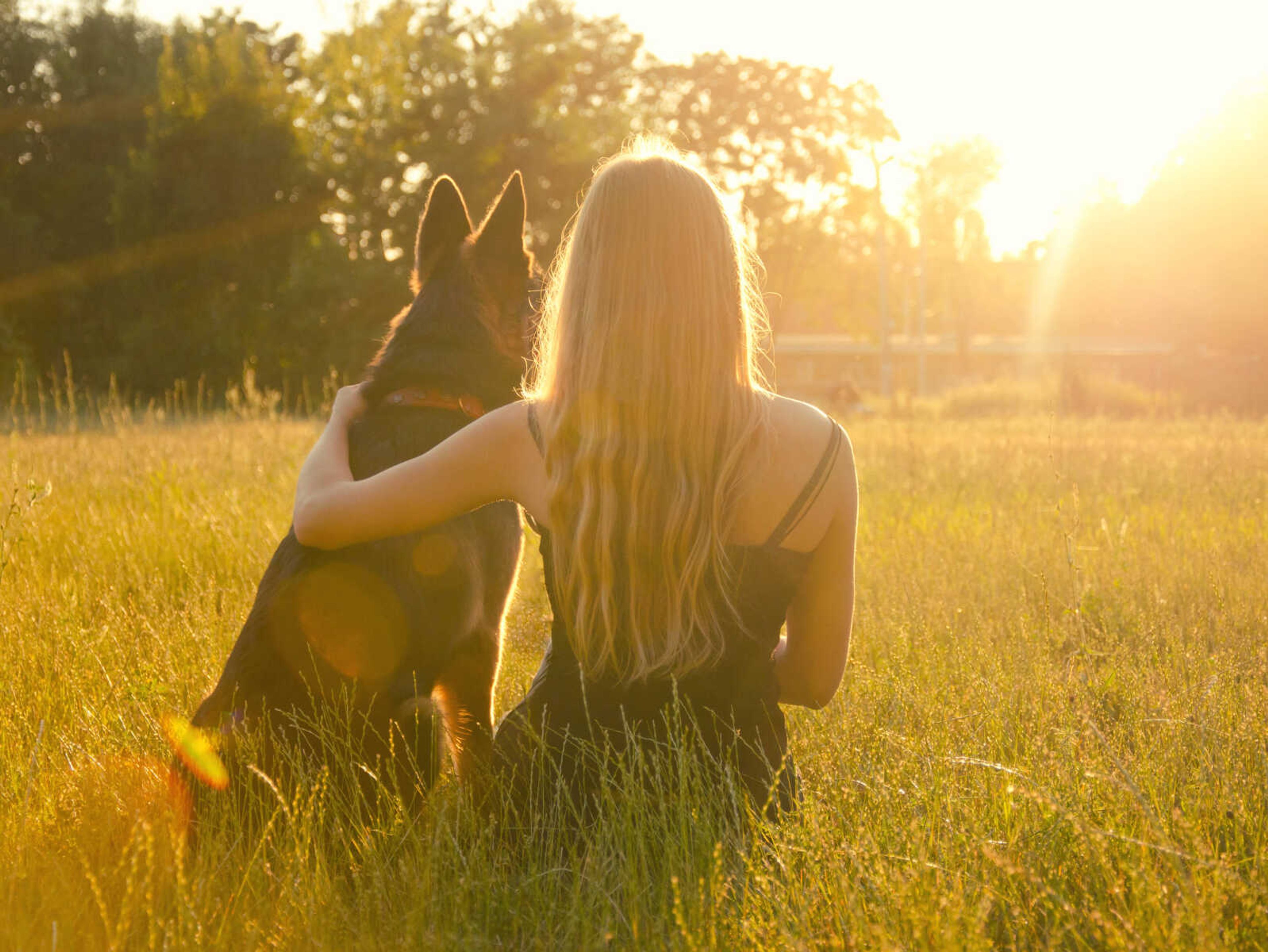 How to Prepare Your Pets for the Solar Eclipse