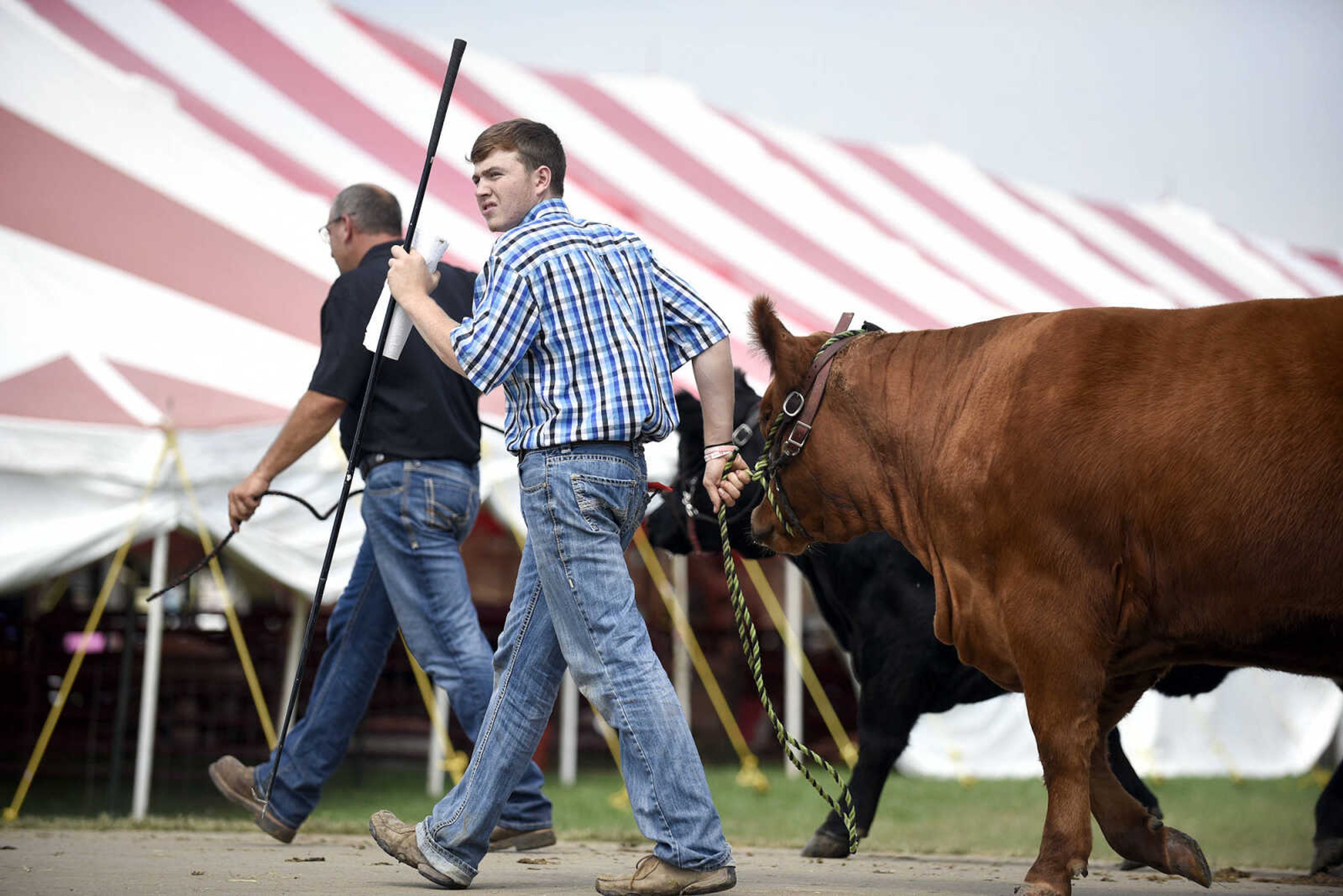 LAURA SIMON ~ lsimon@semissourian.com

The SEMO District Fair continues on Friday, Sept. 16, 2016, at Arena Park in Cape Girardeau.