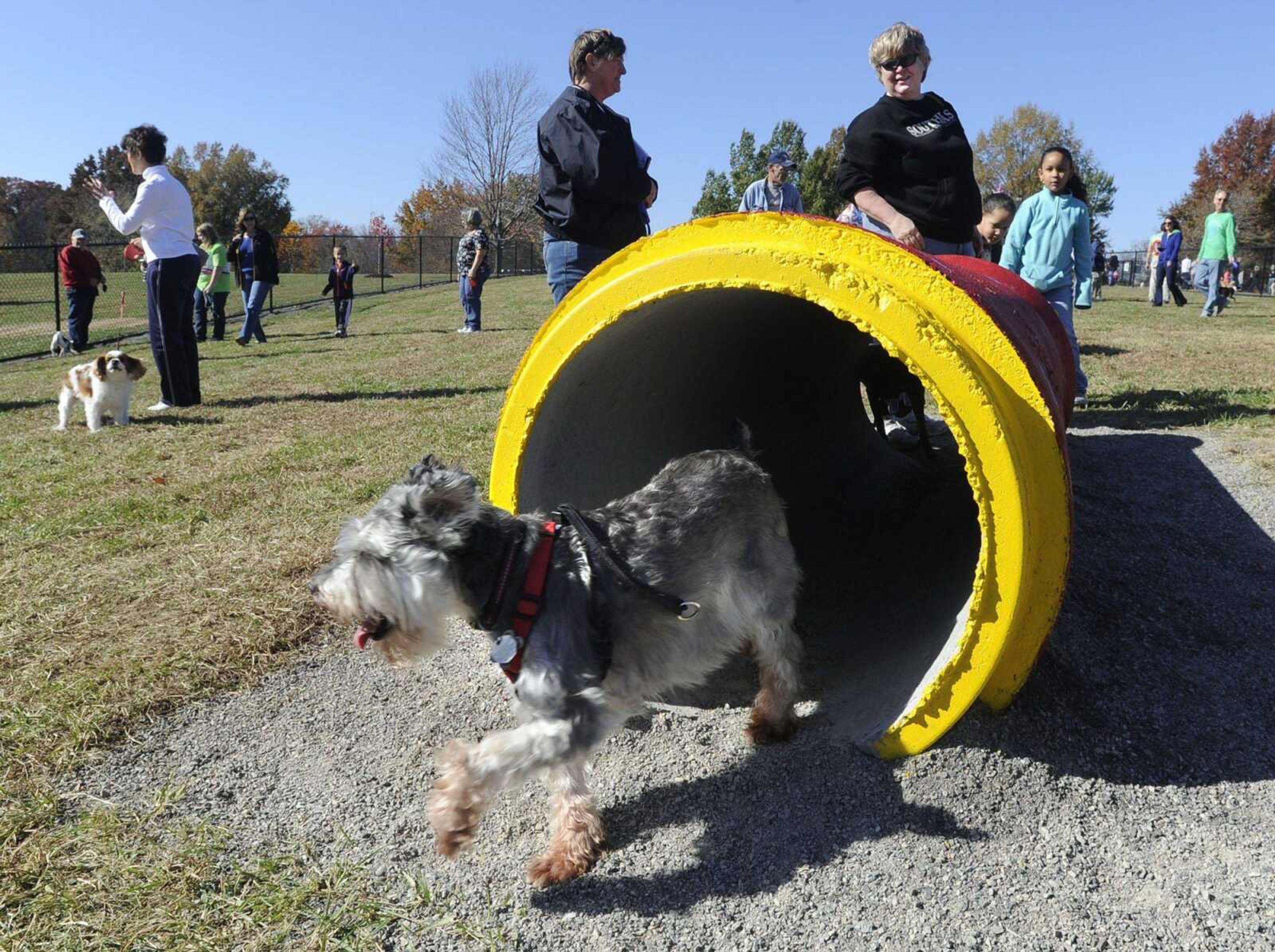 Julie Grueneberg watches her miniature schnauzer, Woody, go through a concrete tube at hte Dogtown dog park at Kiwanis Park in Cape Girardeau. The park was paid for with casino-generated revenue to the city. (Fred Lynch)