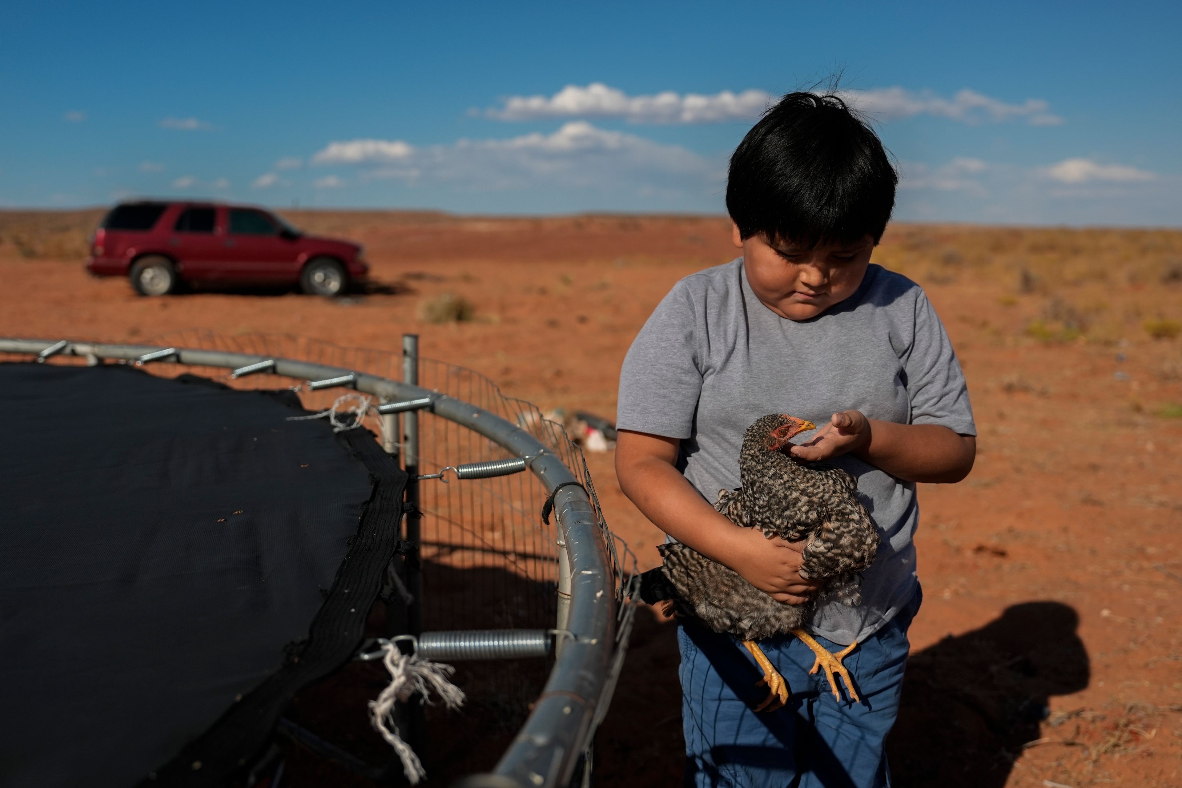 Liam Gillis, 7, holds one of his chickens, Wednesday, Oct. 9, 2024, at his home on the Navajo Nation in Halchita, Utah. (AP Photo/Joshua A. Bickel)