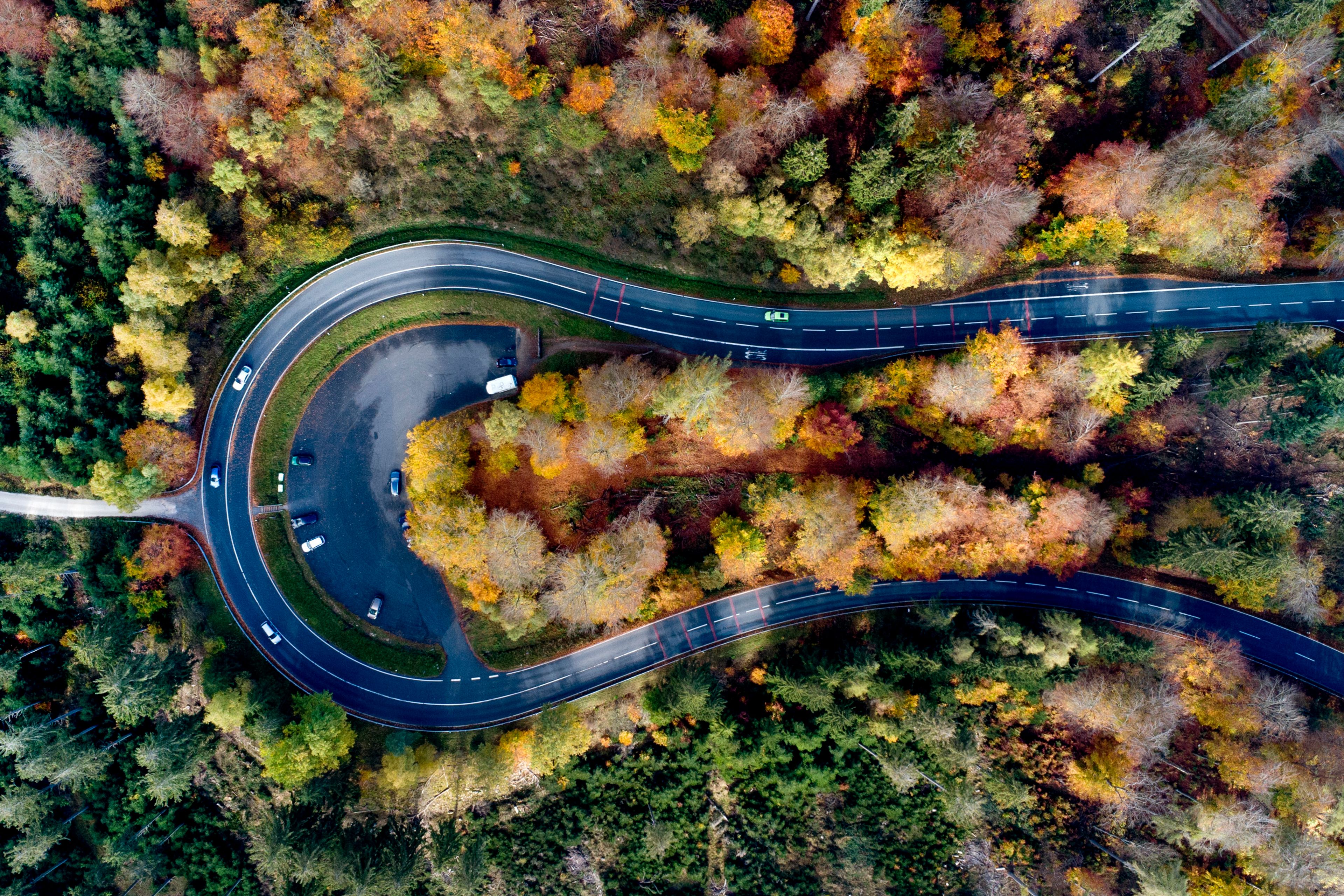 Cars drive around a curve in a forest of the Taurus region near Frankfurt, Germany, Monday, Oct. 28, 2024. (AP Photo/Michael Probst)