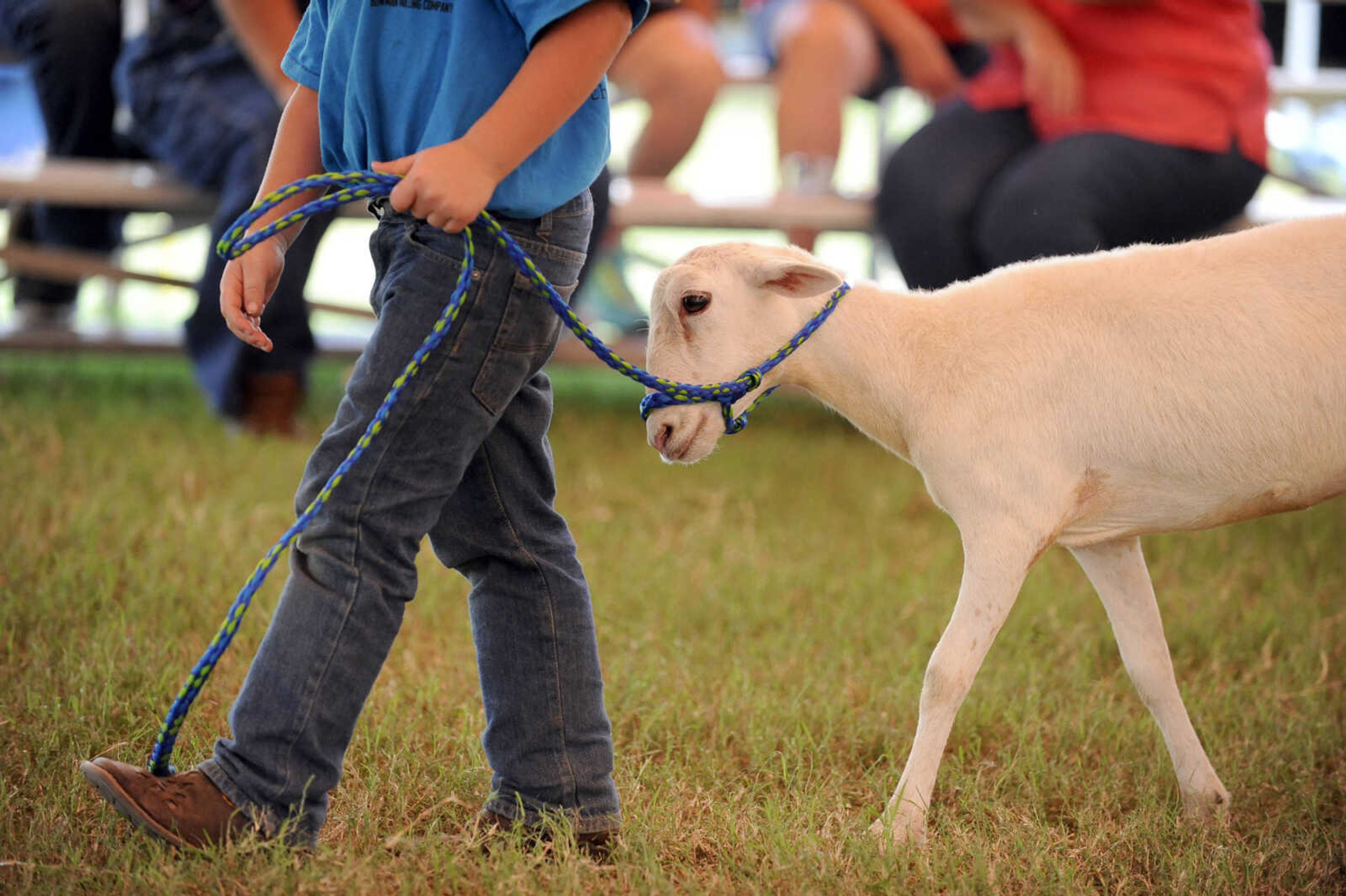 LAURA SIMON ~ lsimon@semissourian.com

Children and teenagers show their sheep on Wednesday, Sept. 14, 2016, during the SEMO District Fair at Arena Park in Cape Girardeau.