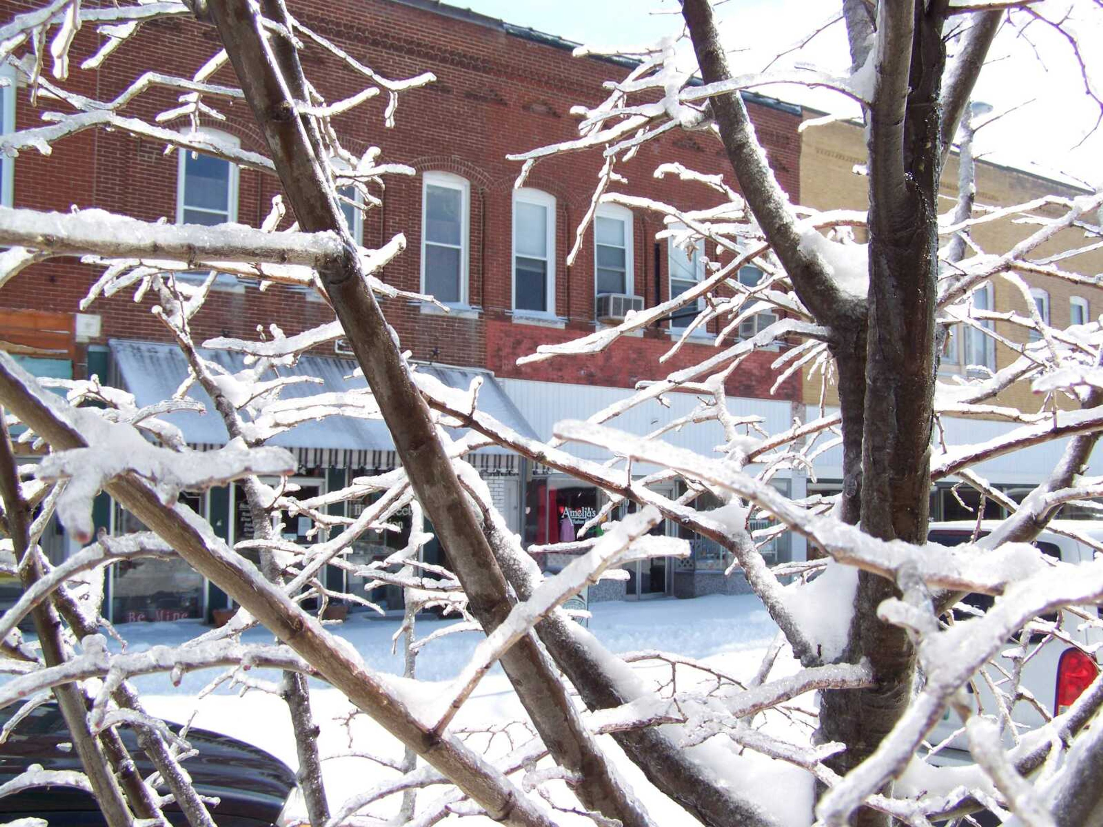 BOB MILLER ~ bmiller@semissourian.com
Ice and snow covered trees in the uptown area of Jackson Wednesday. Many of the businesses were closed.