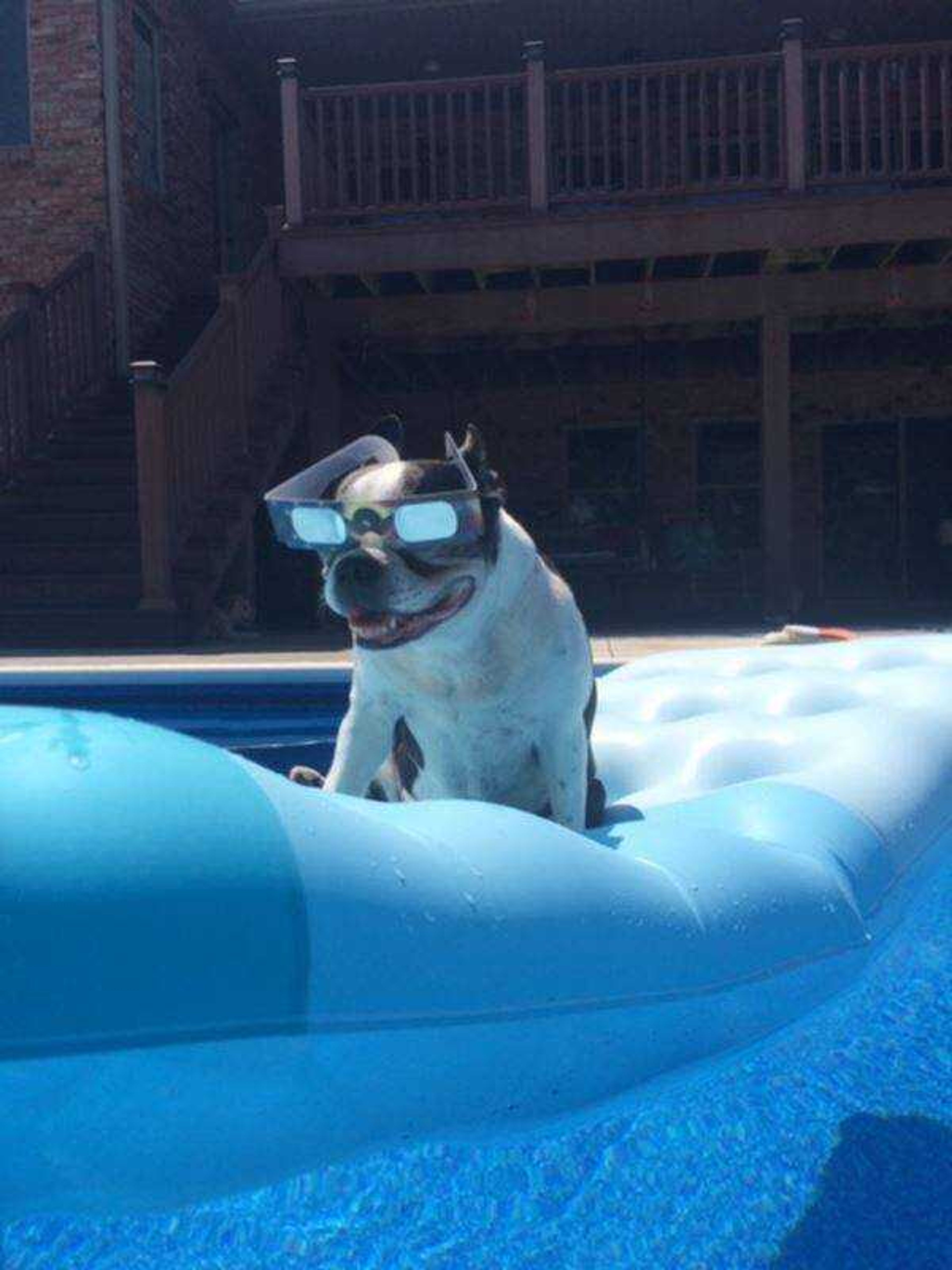 Oprah in the pool during the eclipse&nbsp; -&nbsp; Oprah wanted to see the eclipse when we did so she got her own glasses