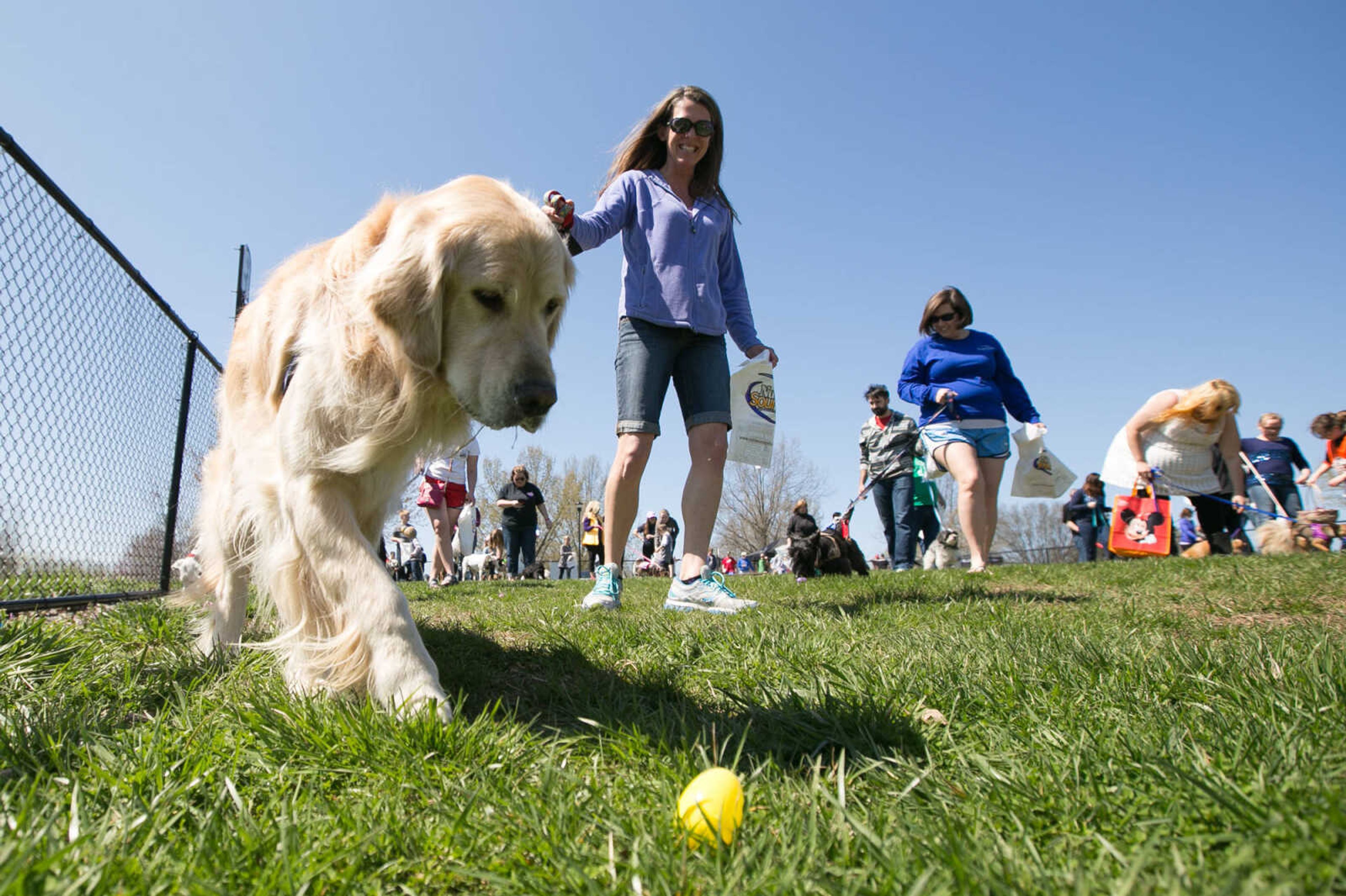 GLENN LANDBERG ~ glandberg@semissourian.com

Kara Stockard and Wilson look for eggs during the Peeps for Paws dog Easter egg hunt at Dog Town in Kiwanis Park, Saturday, March 26, 2016. The event benefited Howie's Harvest and the Southeast Missouri Food Bank.