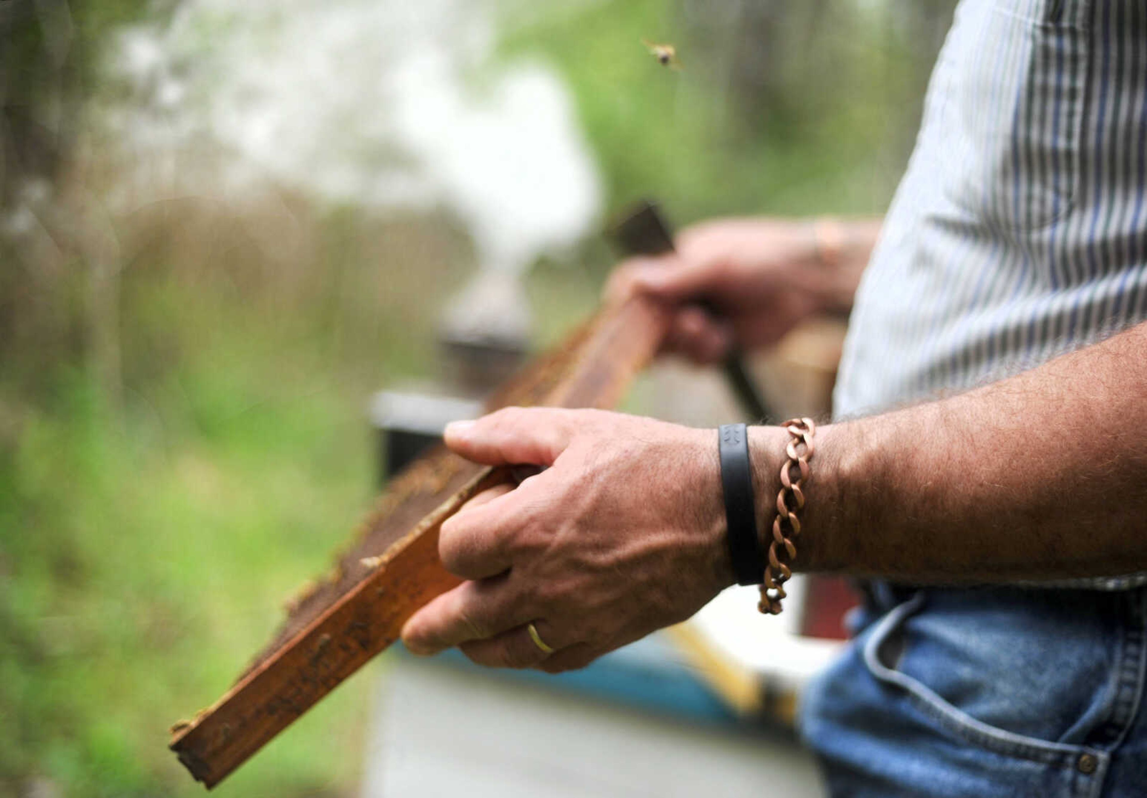 LAURA SIMON ~ lsimon@semissourian.com

Grant Gilliard checks on his beehives in Cape Girardeau County.