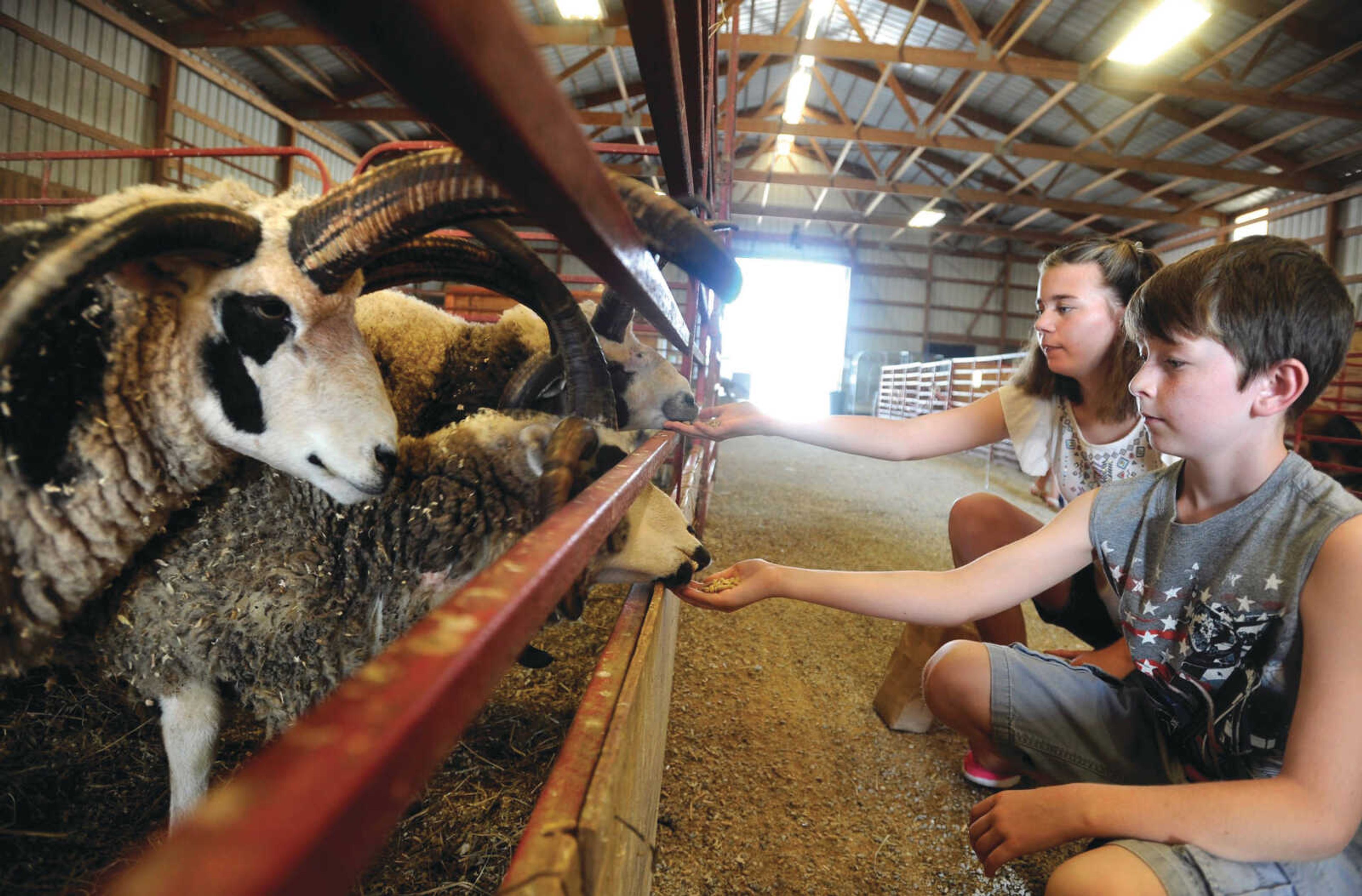 Kara Banks and her brother, Hunter Banks, feed four-horn sheep Saturday, Sept. 23, 2017 at Lazy L Safari Park in Cape Girardeau.