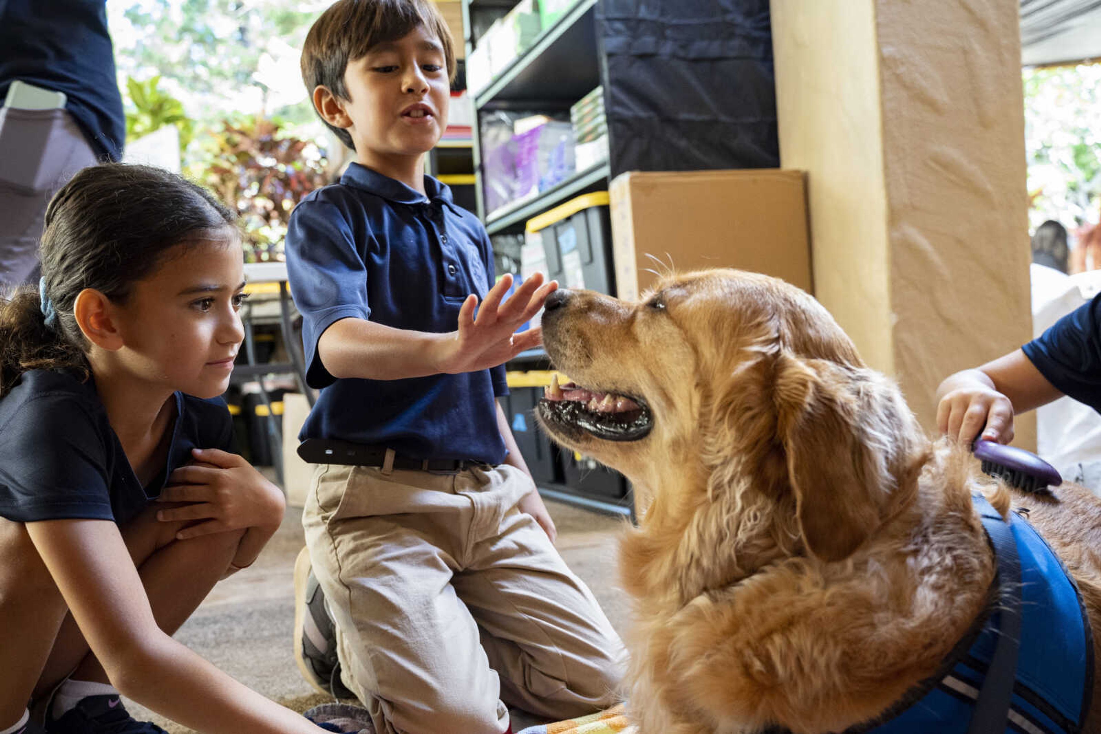 Sacred Hearts School third grade students pet Quincy, a comfort dog with Assistance Dogs of Hawaii, at Sacred Hearts Mission Church on Oct. 3 in Lahaina, Hawaii. The three public schools that survived the deadly August wildfire are set to reopen this week.