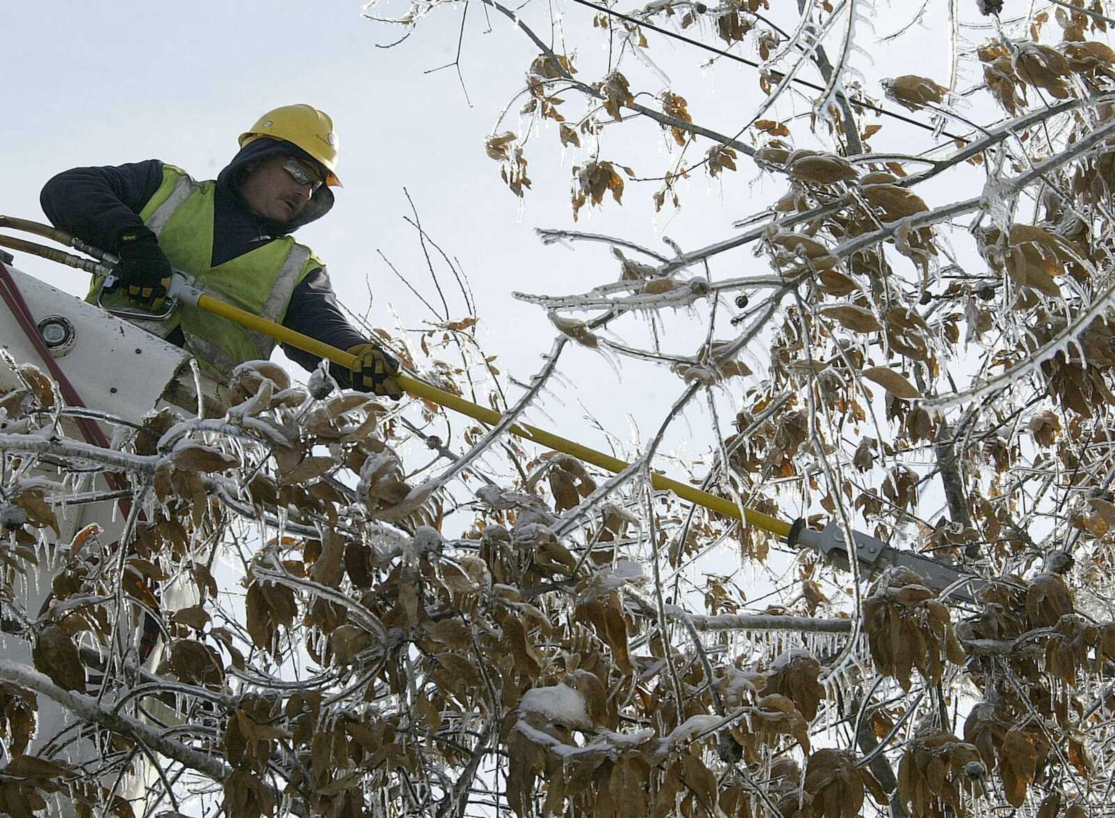 Mike Nardi of The Shade Tree Service Company of Fenton, Mo., cut ice-covered branches away from power lines Friday after an ice storm earlier in the week in Kirksville. (Al Maglio ~ Associated Press)