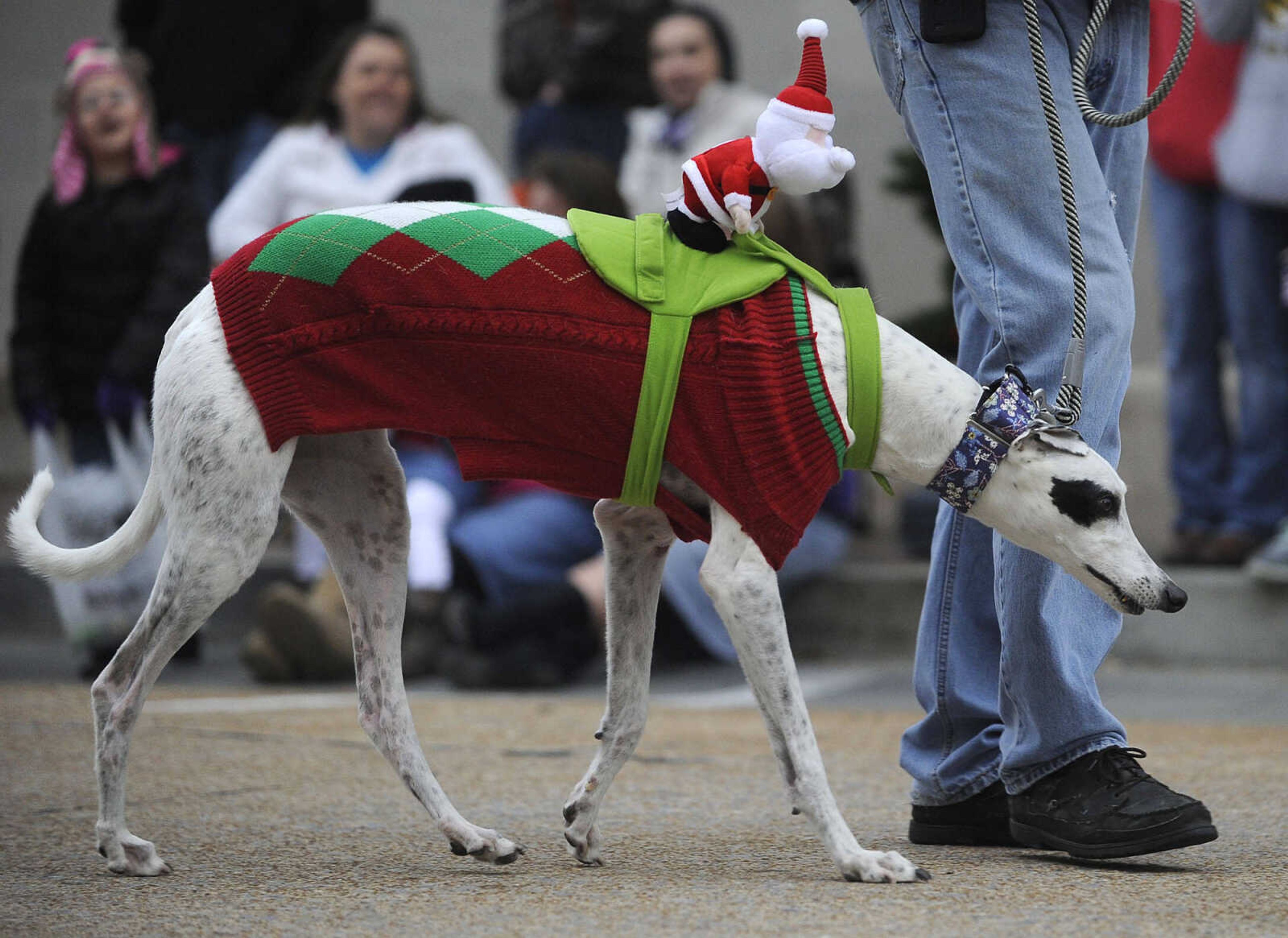 Jackson Christmas parade Saturday, Dec. 6, 2014 in Jackson.