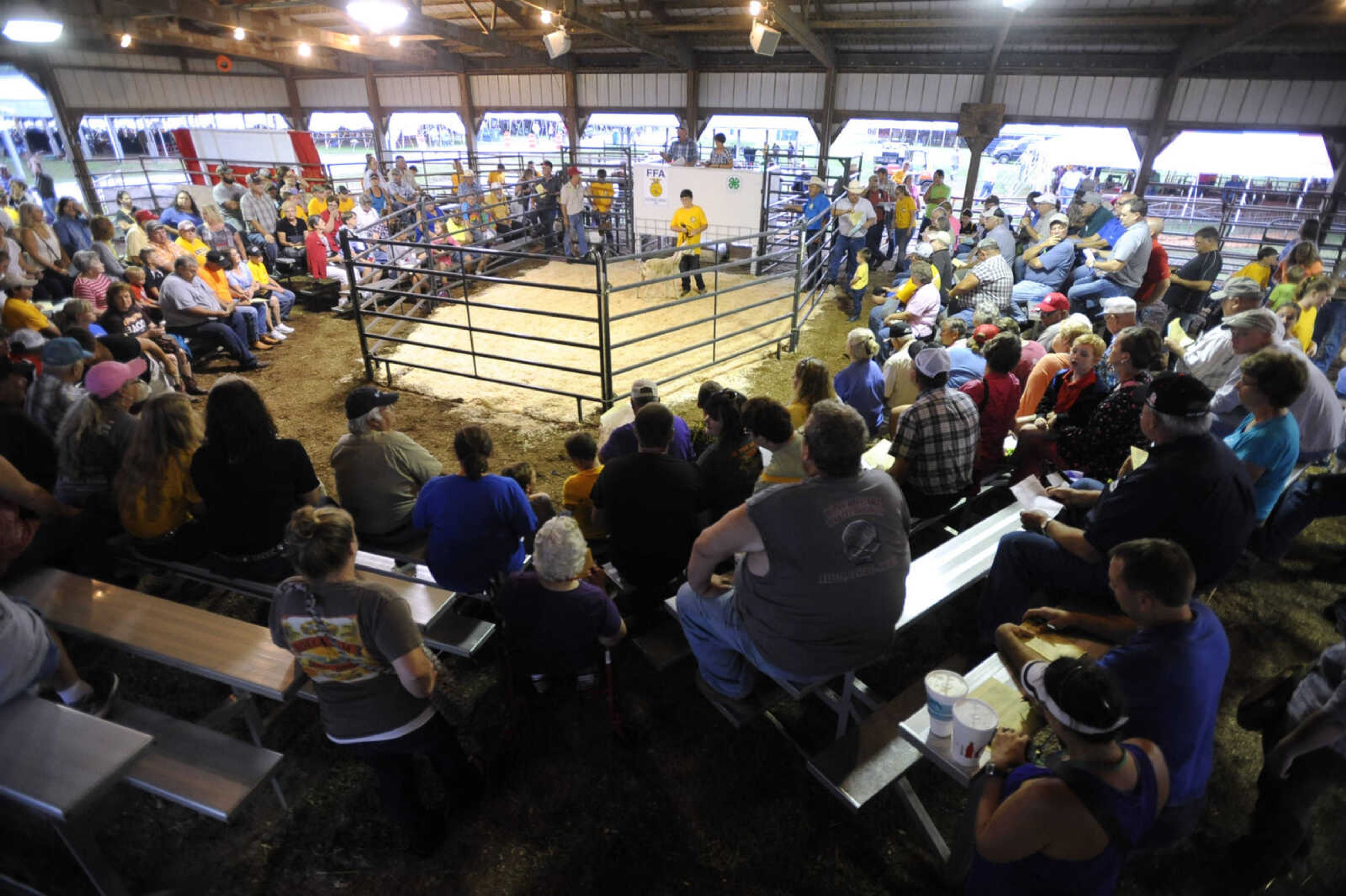 FRED LYNCH ~ flynch@semissourian.com
FFA and 4-H members sell their prize-winning livestock at auction Thursday, Sept. 15, 2016 at the SEMO District Fair in Cape Girardeau.