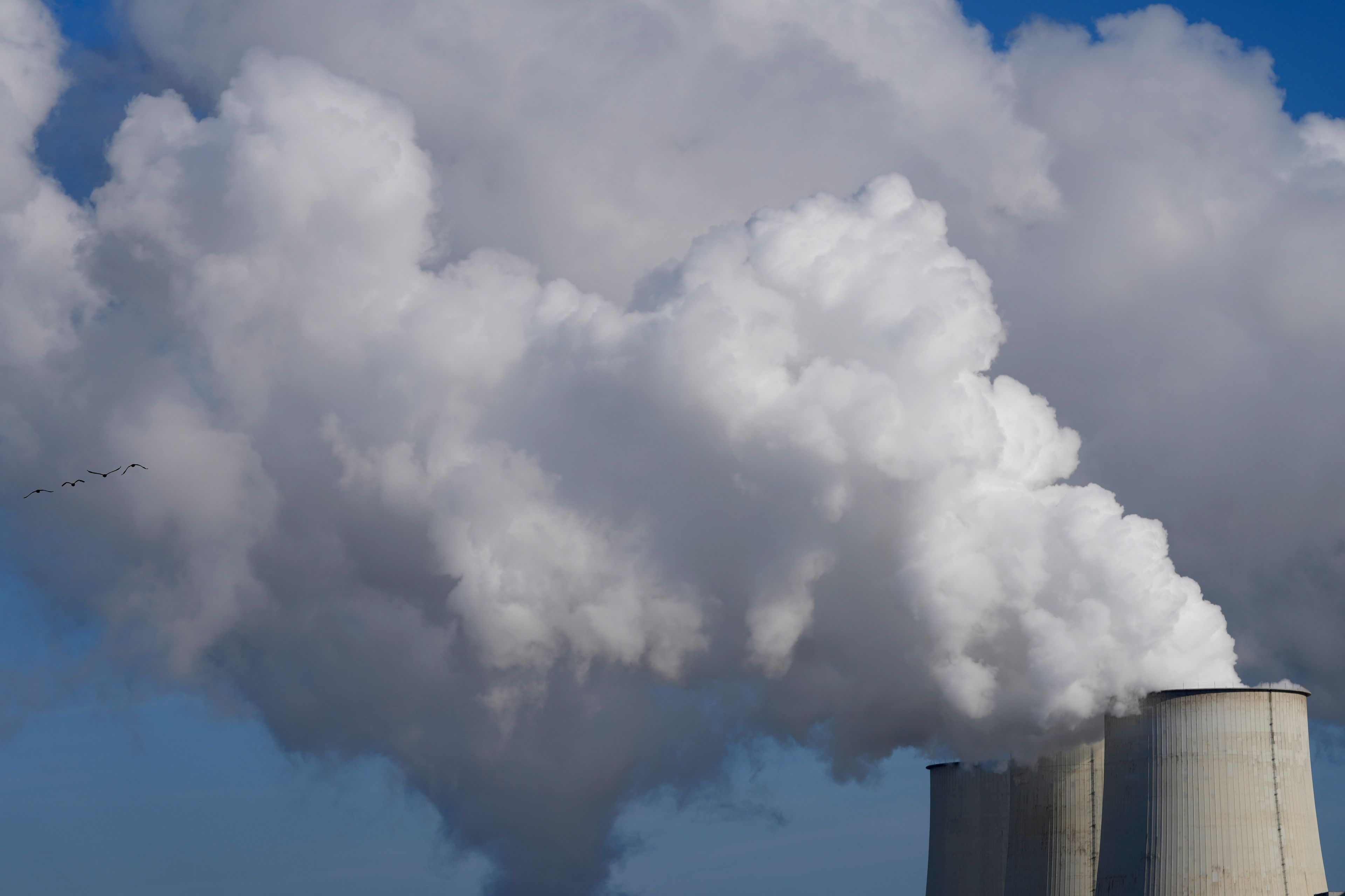 The Jaenschwalde coal-fired power plant operates in Jaenschwalde, Germany, Wednesday, Oct. 16, 2024. (AP Photo/Matthias Schrader)