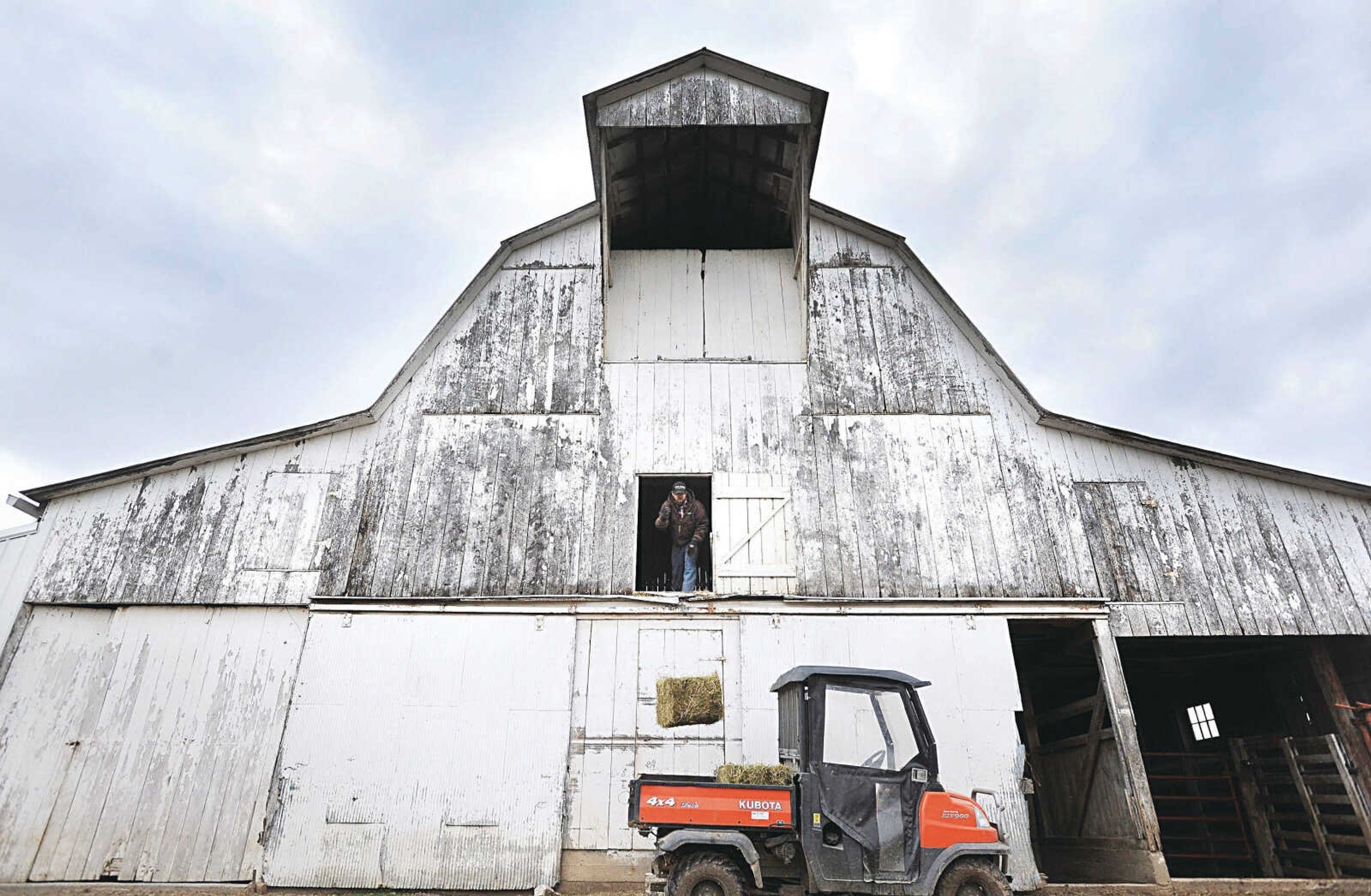 Mark Kasten loads hay to feed his sheep at Kasten Sheep Dairy in Perry County.