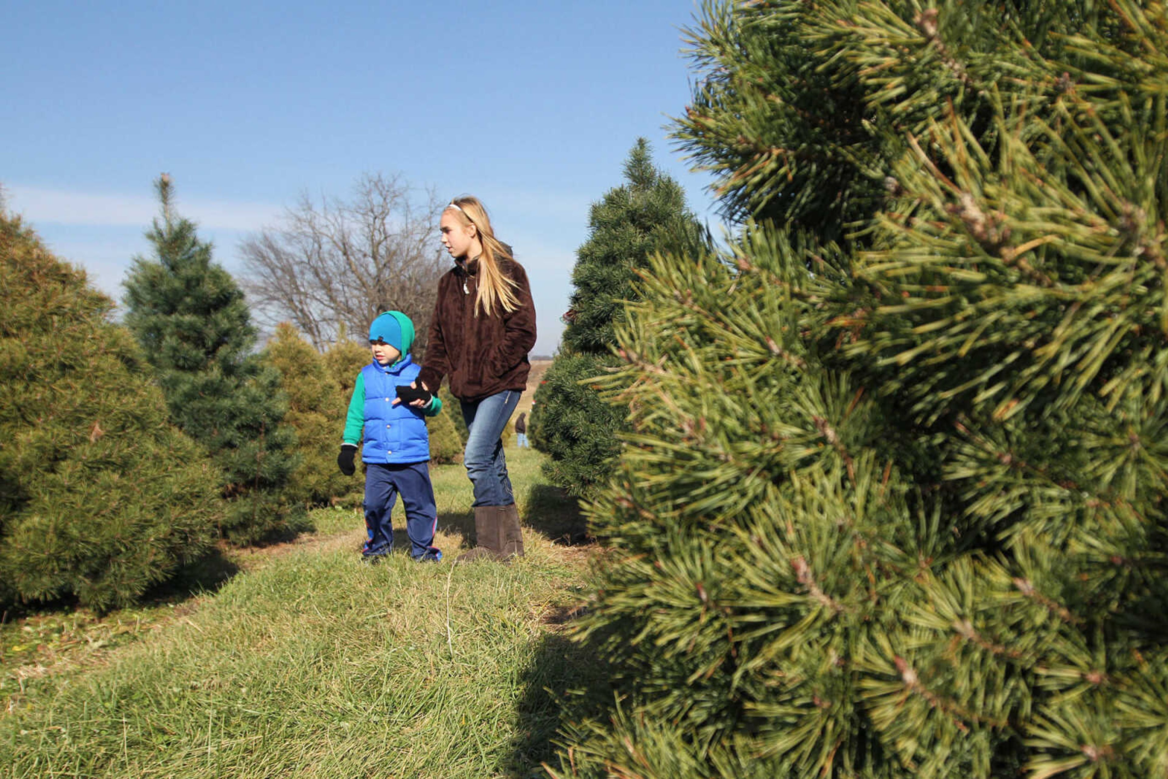 GLENN LANDBERG ~ glandberg@semissourian.com

Mallory Meystedt walks with her cousin, Clark Summers looking for a Christmas tree at Meier Horse Shoe Pines in Jackson Friday, Nov. 28, 2014.