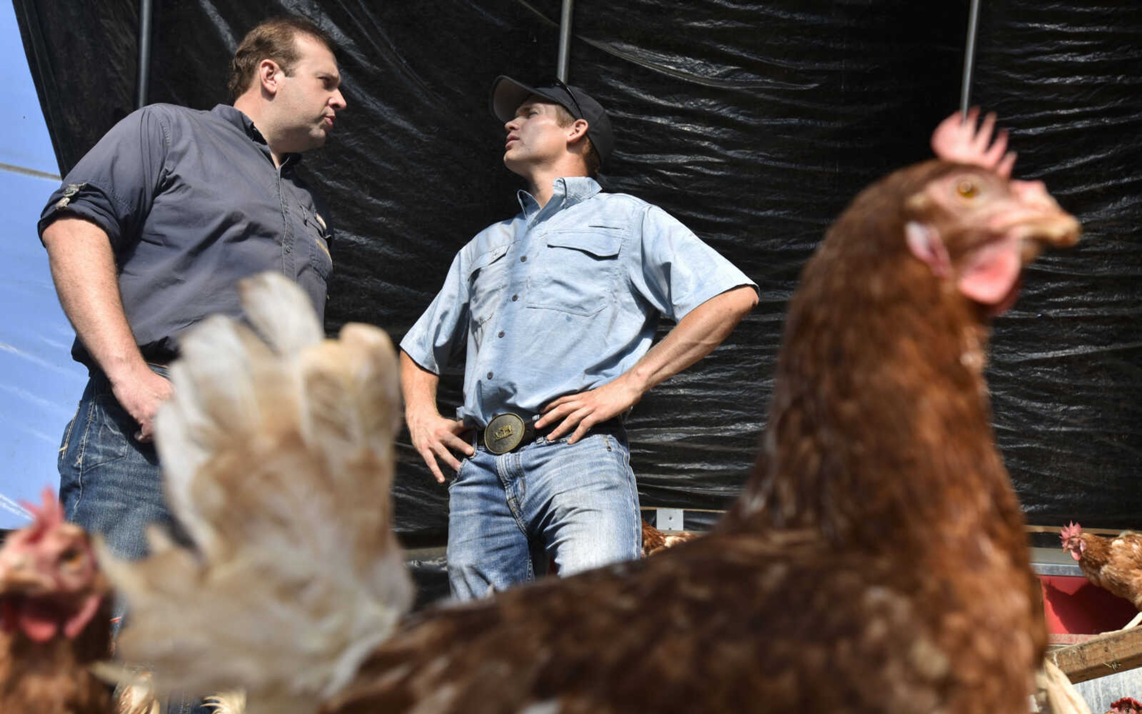 U.S. Rep. Jason Smith, far left, talks to Jackson Egg Co. co-owner Adam Birk while visiting the free-range chicken farm Friday, July 27, 2018 in Jackson.