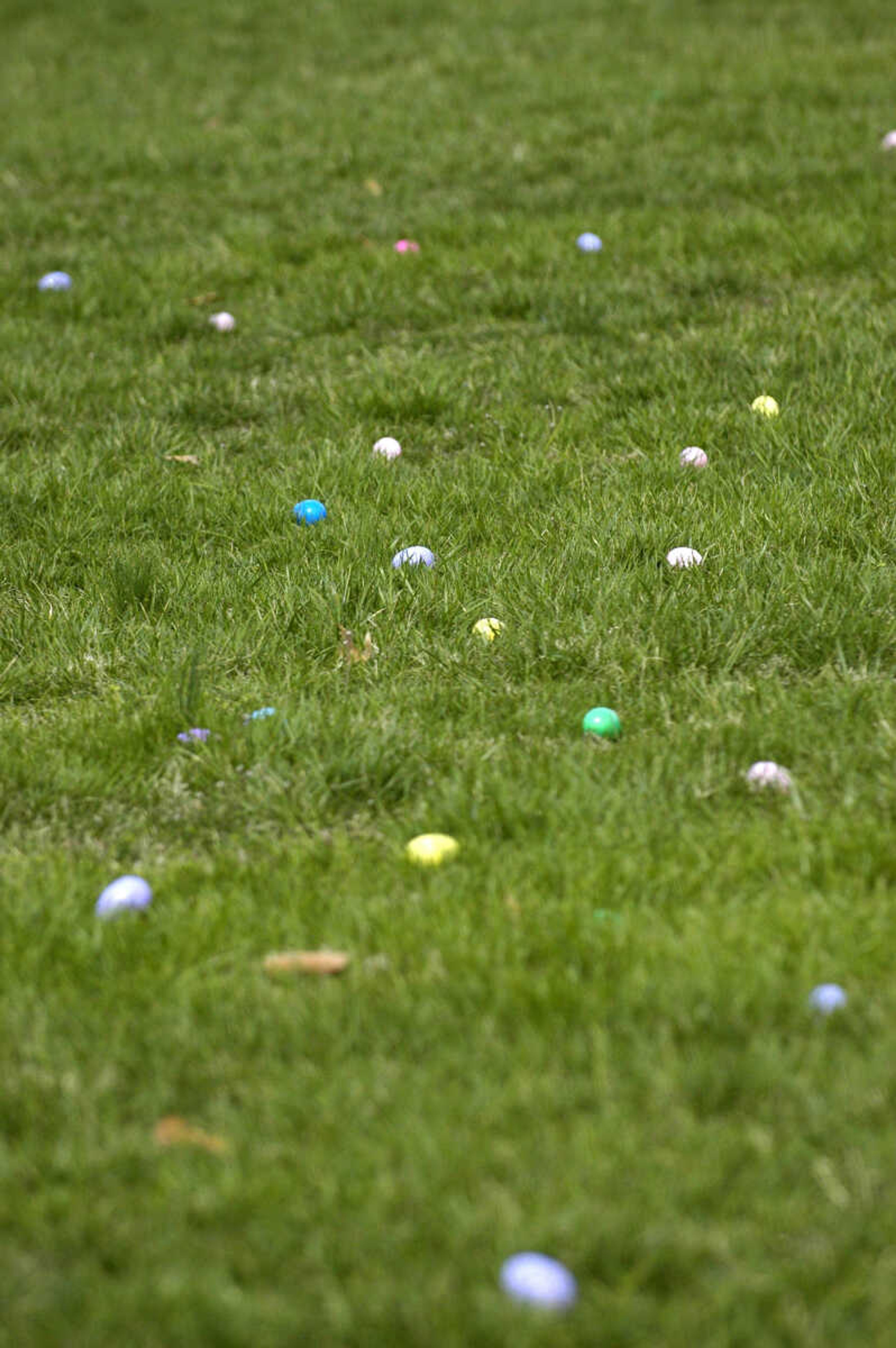 KRISTIN EBERTS ~ keberts@semissourian.com

Eggs are scattered across the field during the Cape Girardeau Parks and Recreation easter egg hunt at Kiwanis Park in Cape Girardeau, Mo., on Saturday, March 27, 2010. Three thousand eggs are used for the hunt.