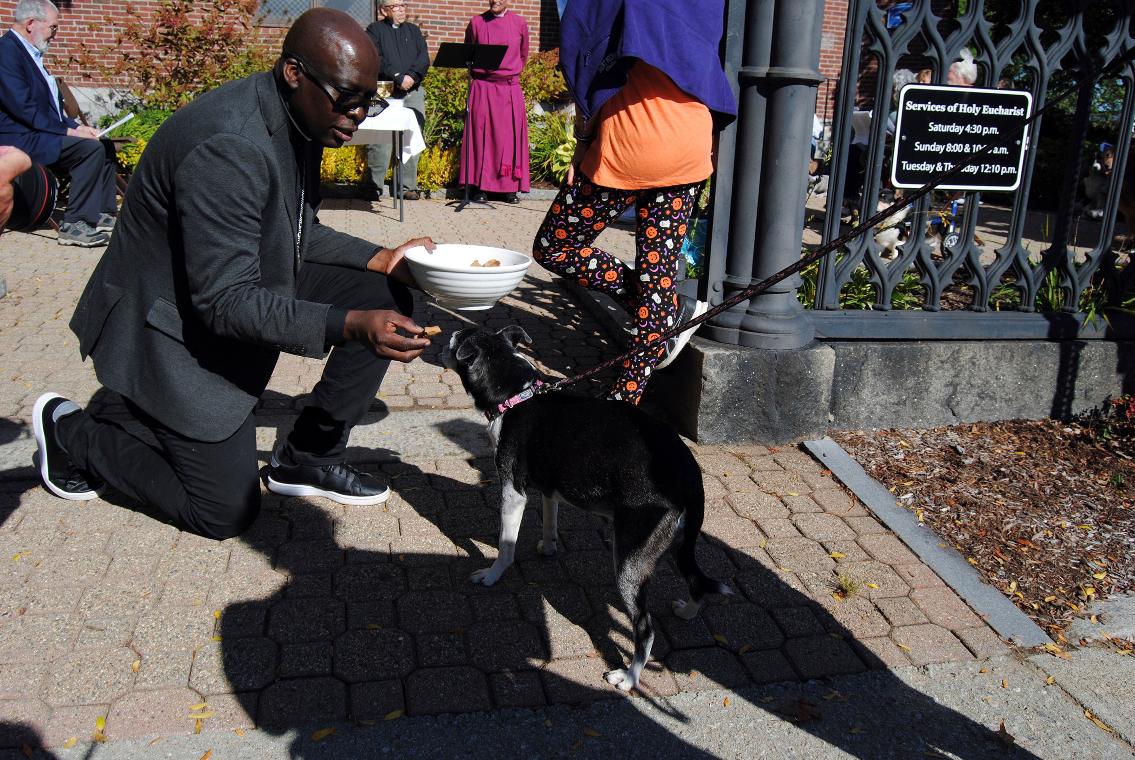 The Rev. Jean Beniste, a Haitian immigrant, feeds a dog during a Blessing of the Animals in the garden at St. Paul's Episcopal Church in Concord, N.H., where Beniste serves as rector, Saturday, Oct. 5, 2024. (G. Jeffrey MacDonald via AP)