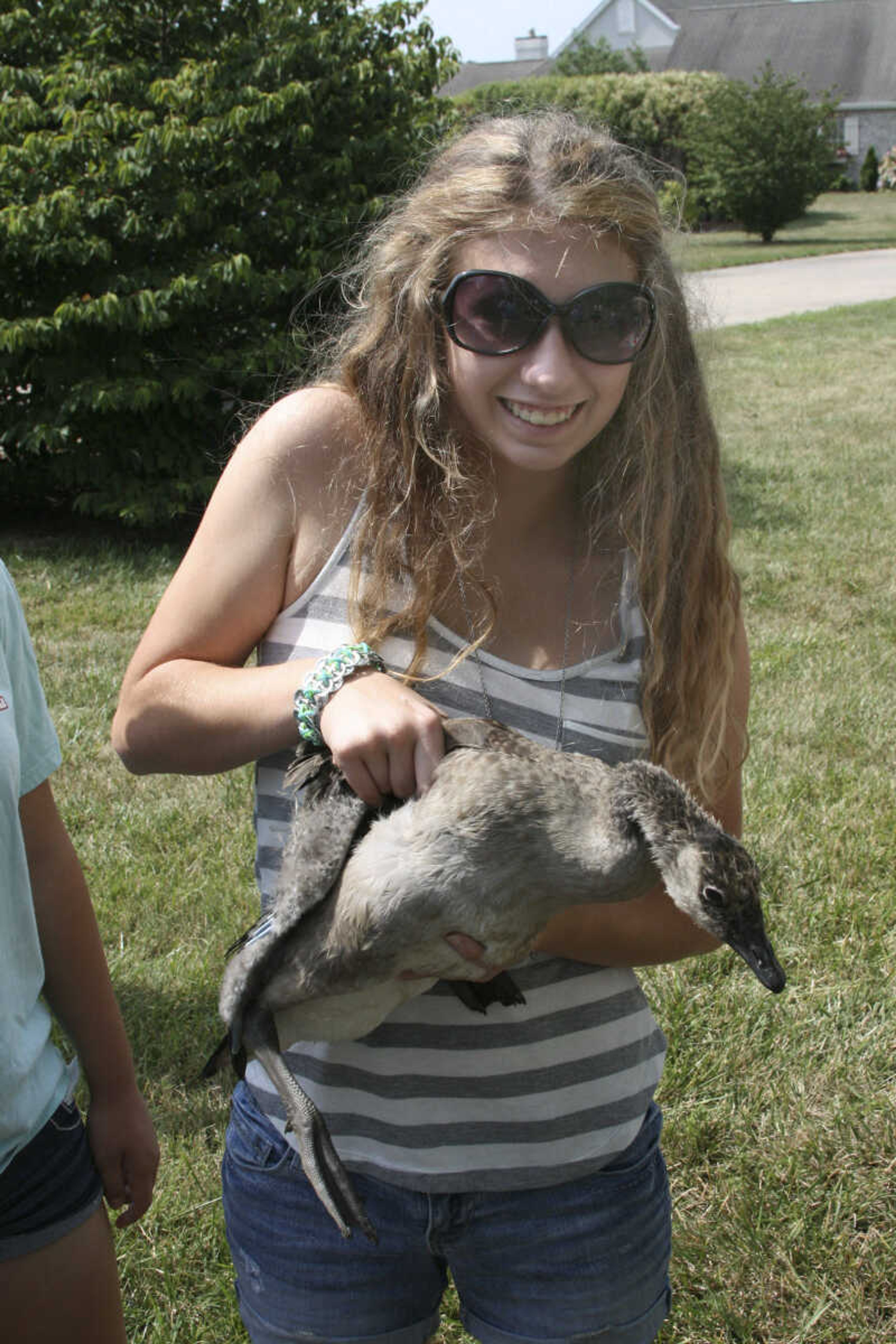 Brianne Randol, 13, of Jackson, was at the park Thursday when Missouri Department of Conservation employees examined Canada geese.  Brianne and other onlookers were allowed to assist the biologists with basic tasks, such as holding geese before examination time. (Missouri Department of Conservation photo by AJ Hendershott)