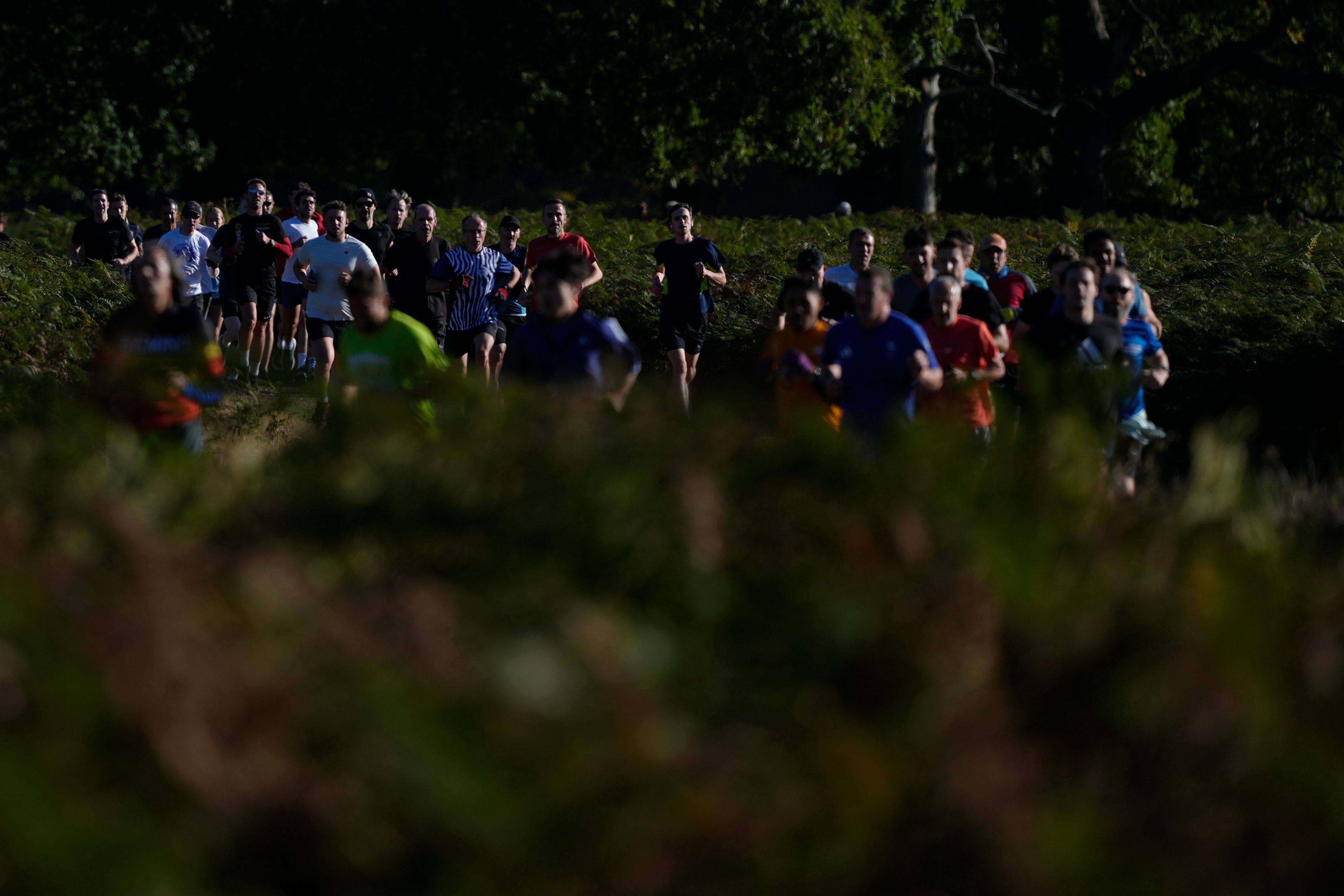 Runners compete in the parkrun event in Bushy Park, southwest London, Saturday, Sept. 28, 2024. (AP Photo/Alastair Grant)