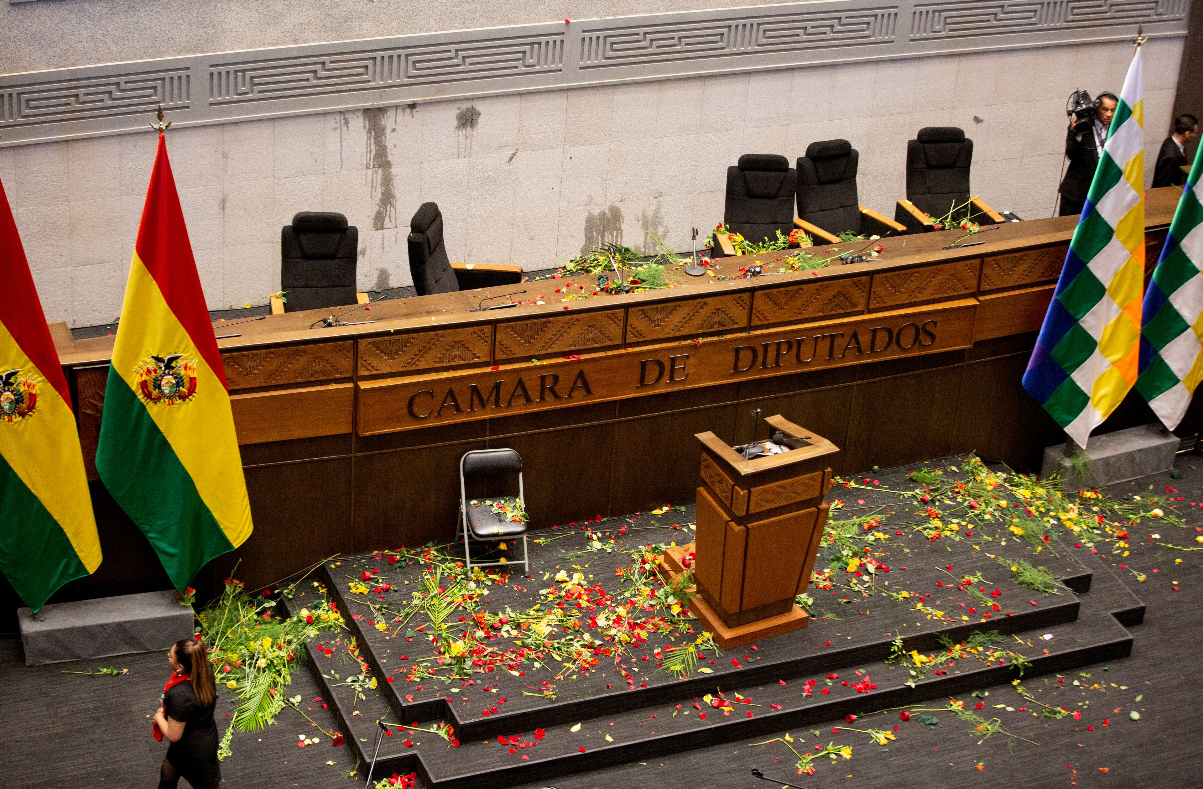 Flower petals cover the the Chamber of Deputies after lawmakers backing former President Evo Morales threw flowers and water at Bolivian Vice President David Choquehuanca during the legislative session where the current president and vice president were to make a speech on the fifth anniversary of their government, in La Paz, Bolivia, Friday, Nov. 8, 2024. (AP Photo/Alejandro Mamani Apaza)