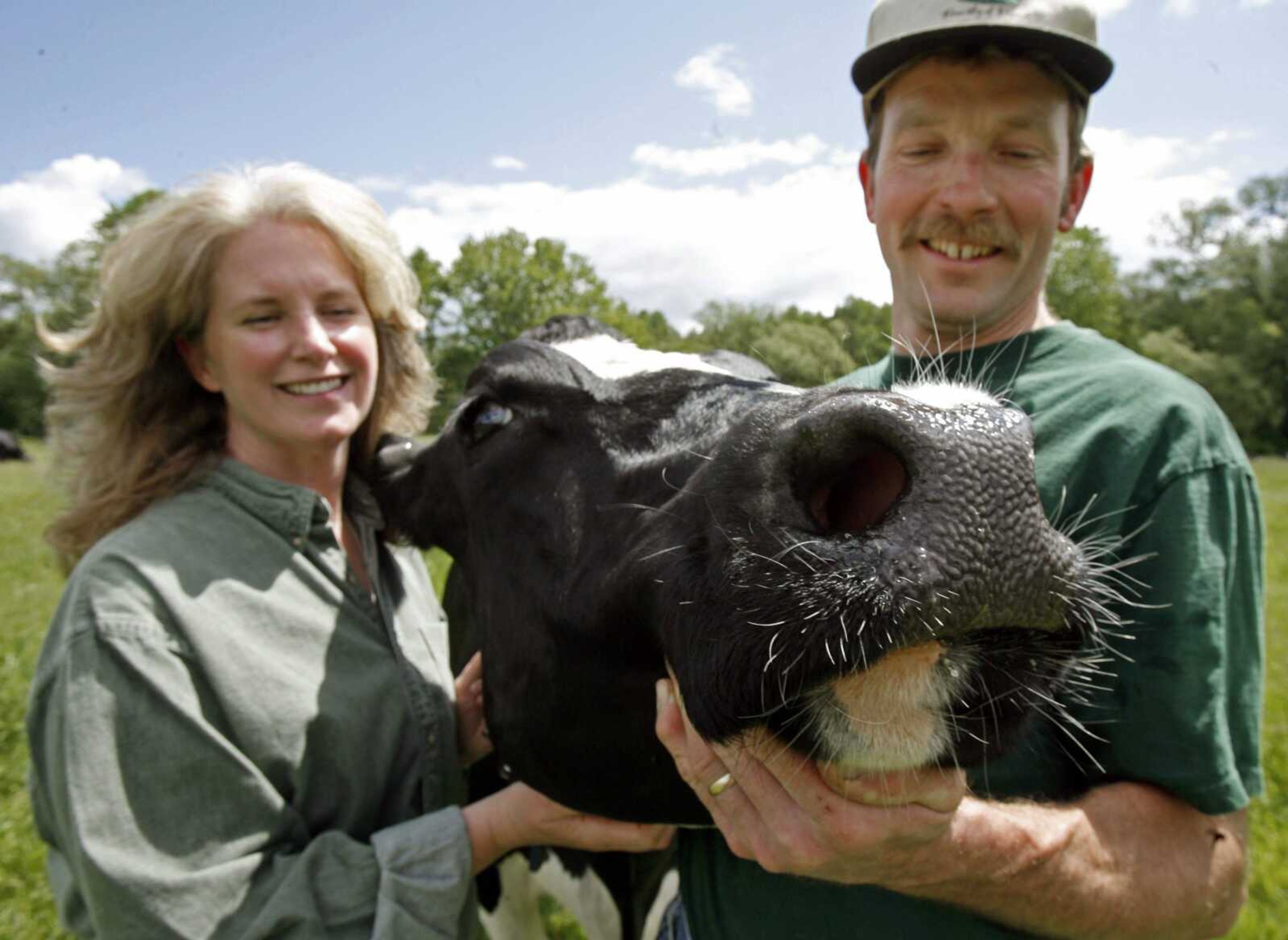 This June 16, 2009 photo shows Tim Maikshilo and his wife, Kristen Dellert, posing with one of their Holsteins in Coventry, Vt. Yogurt maker Stonyfield Farm wants its cows to burp less. It's for a noble cause: cutting down on the gases that contribute to global warming. Working with 15 Vermont farms to change cows' diets so they emit less methane, it has already reduced cow burping by as much as 18 percent. (AP Photo/Toby Talbot)