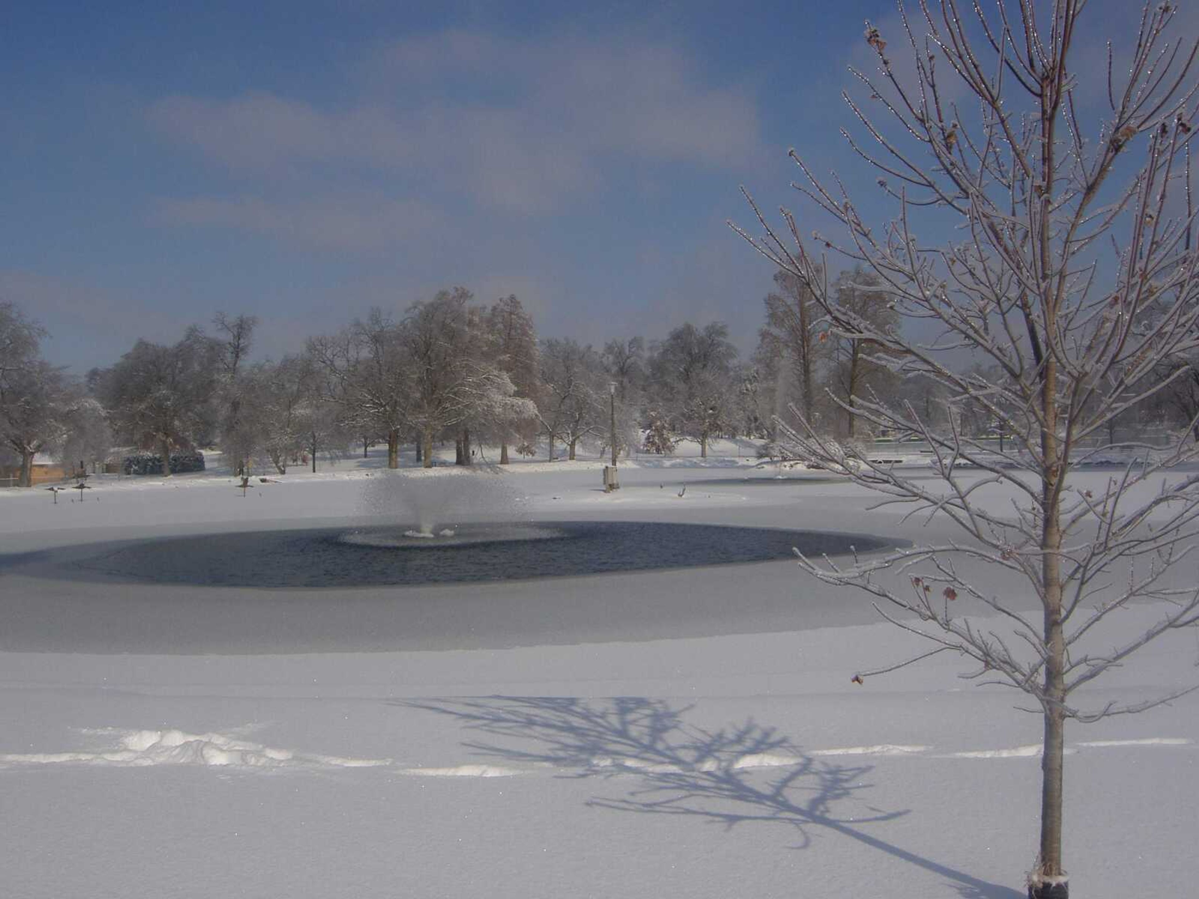 Submitted photo by Pam Welter, Cape Girardeau
Capaha Park