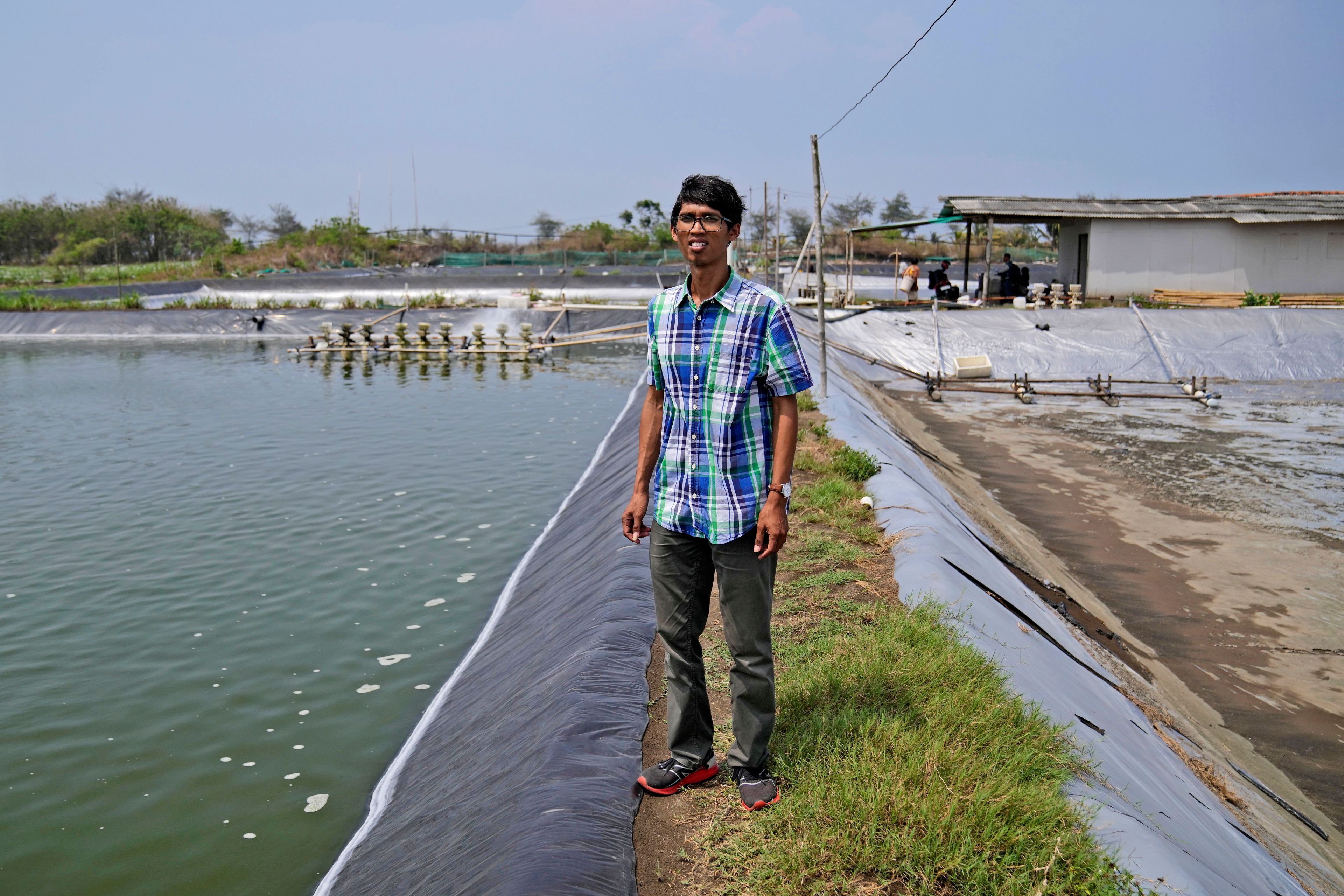 Yulius Cahyonugroho poses for a photo at his shrimp farm in Kebumen, Central Java, Indonesia, Tuesday, Sept. 24, 2024. (AP Photo/Dita Alangkara)