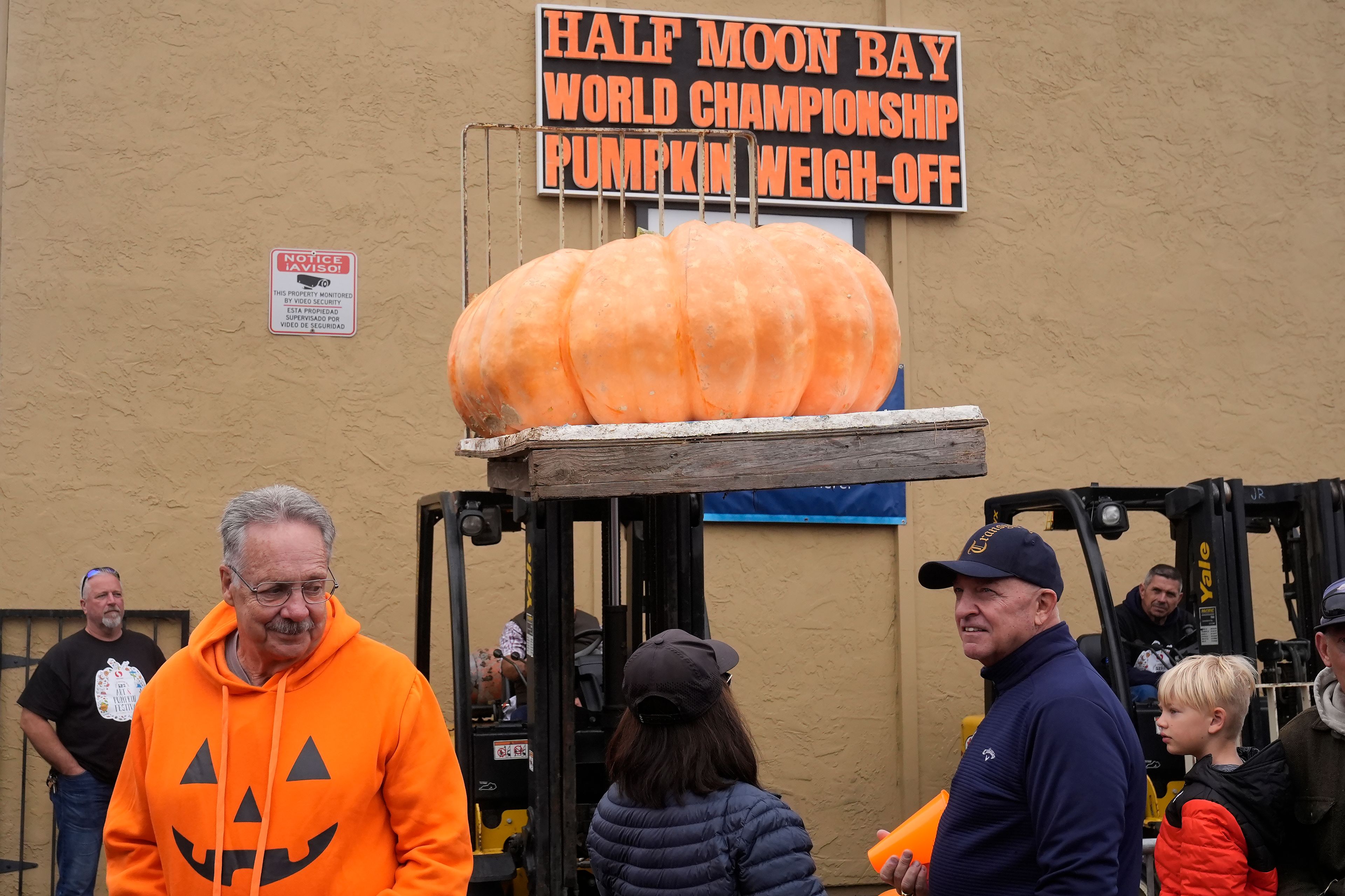 A 977-pound pumpkin owned by Eric Carlson, of Portola Valley, Calif., is raised during a beauty contest, which tied for first, at the Safeway World Championship Pumpkin Weigh-Off in Half Moon Bay, Calif., Monday, Oct. 14, 2024. (AP Photo/Jeff Chiu)