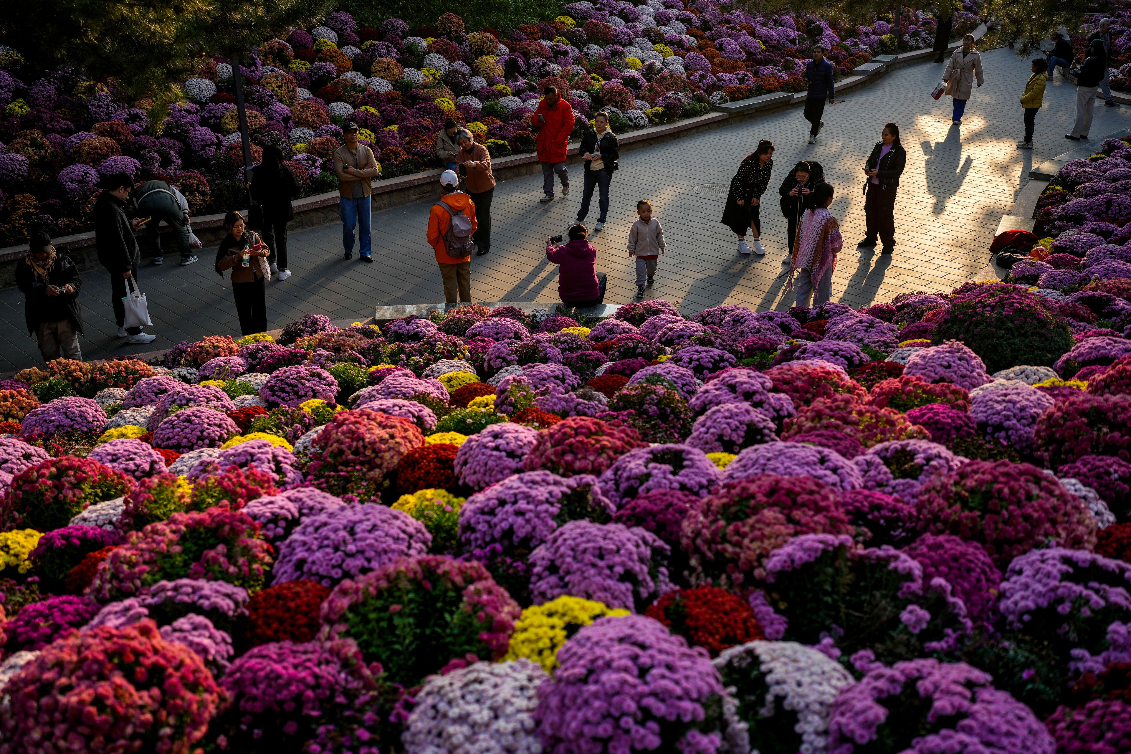 Residents gather near flower blossoms as they take an evening walk at a public park in Beijing, Monday, Oct. 21, 2024. (AP Photo/Andy Wong)