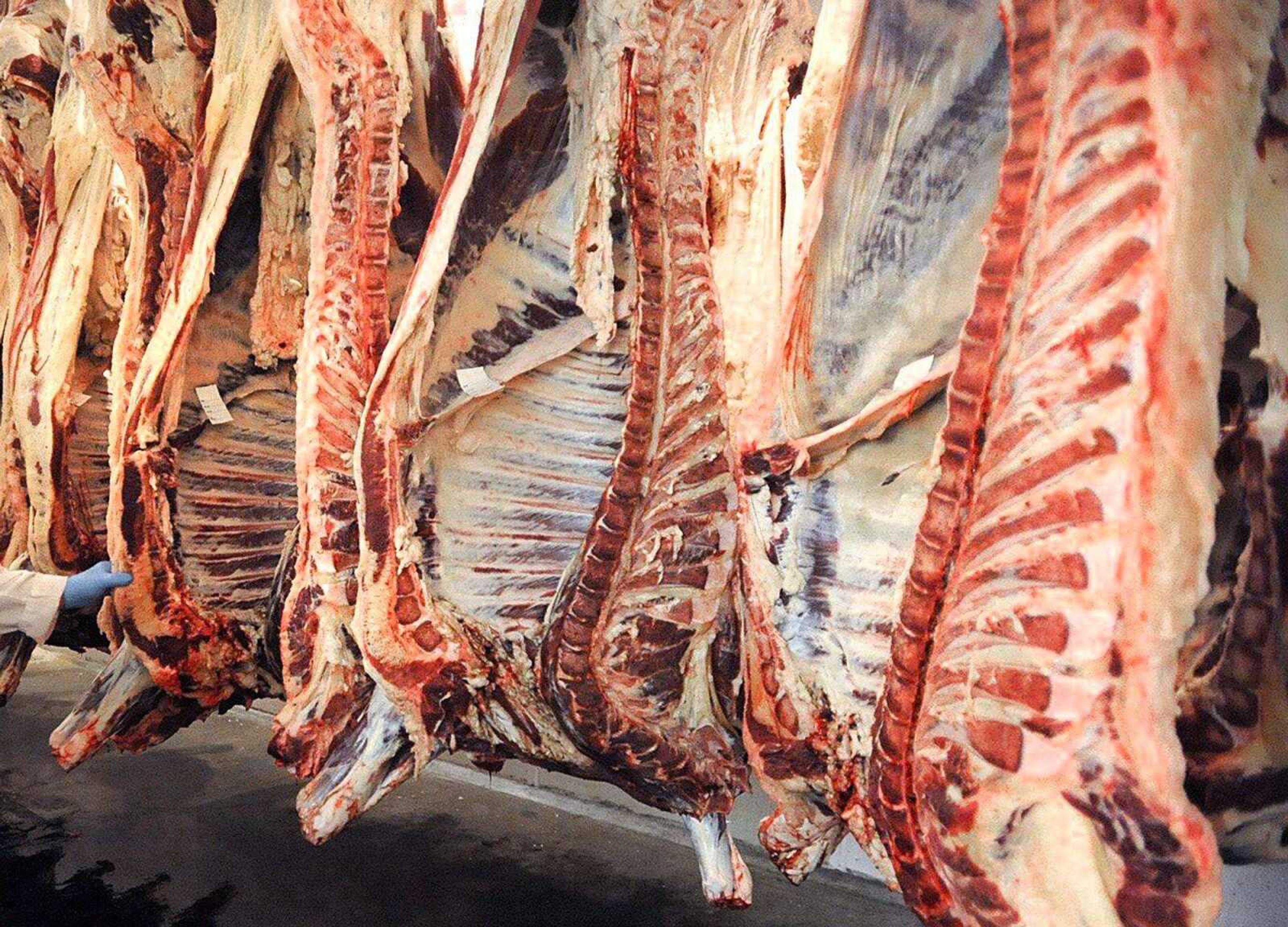 A view inside the meat locker at Fruitland American Meat in July 2012. (Laura Simon)