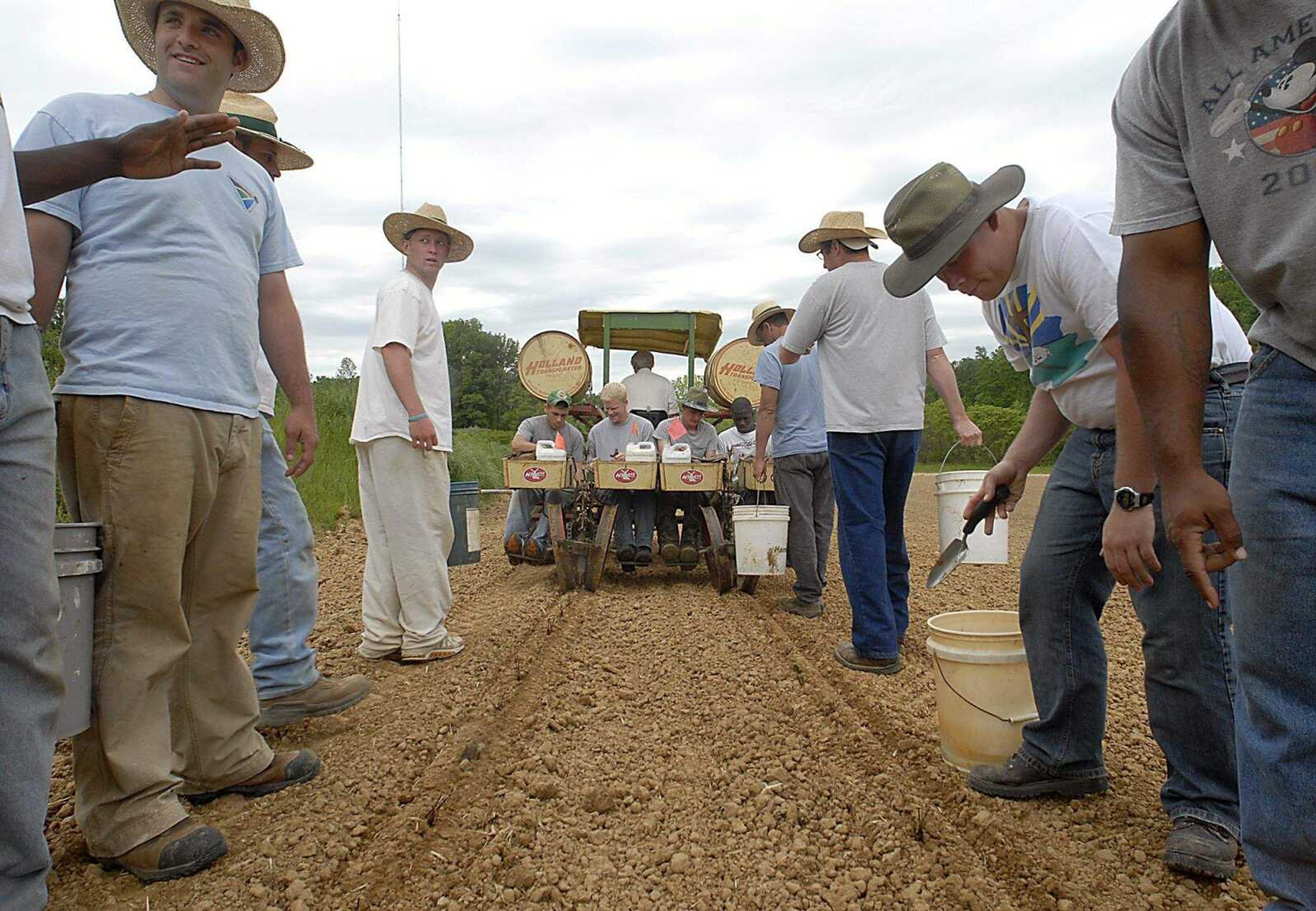 KIT DOYLE ~ kdoyle@semissourian.com
Planting strawberries at Teen Challenge Thursday, May 22, 2008.