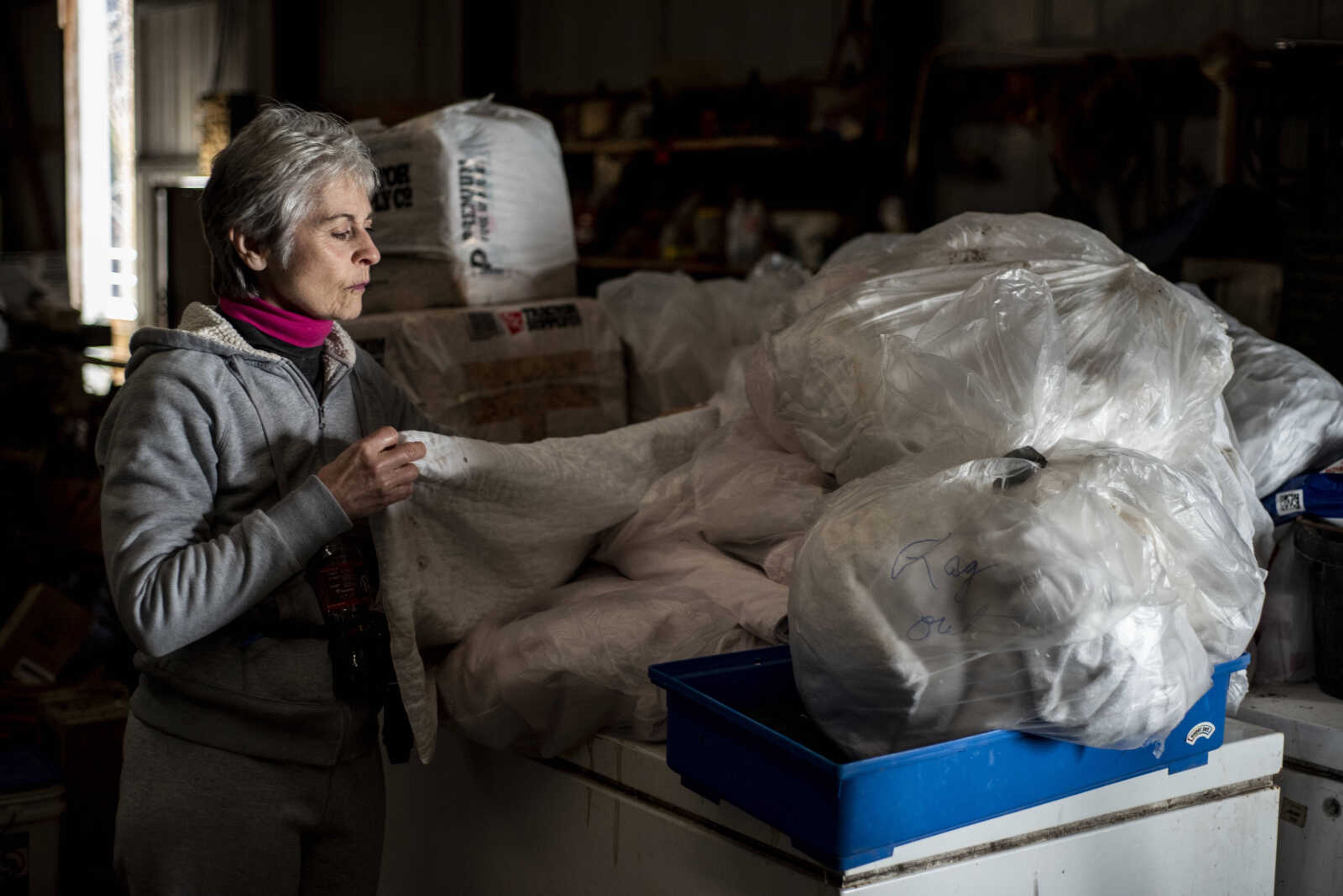 Marilyn Neville picks up a linen off of a chest freezer in her barn Wednesday, Jan. 9, 2019, at Bollinger County Stray Project in Zalma.