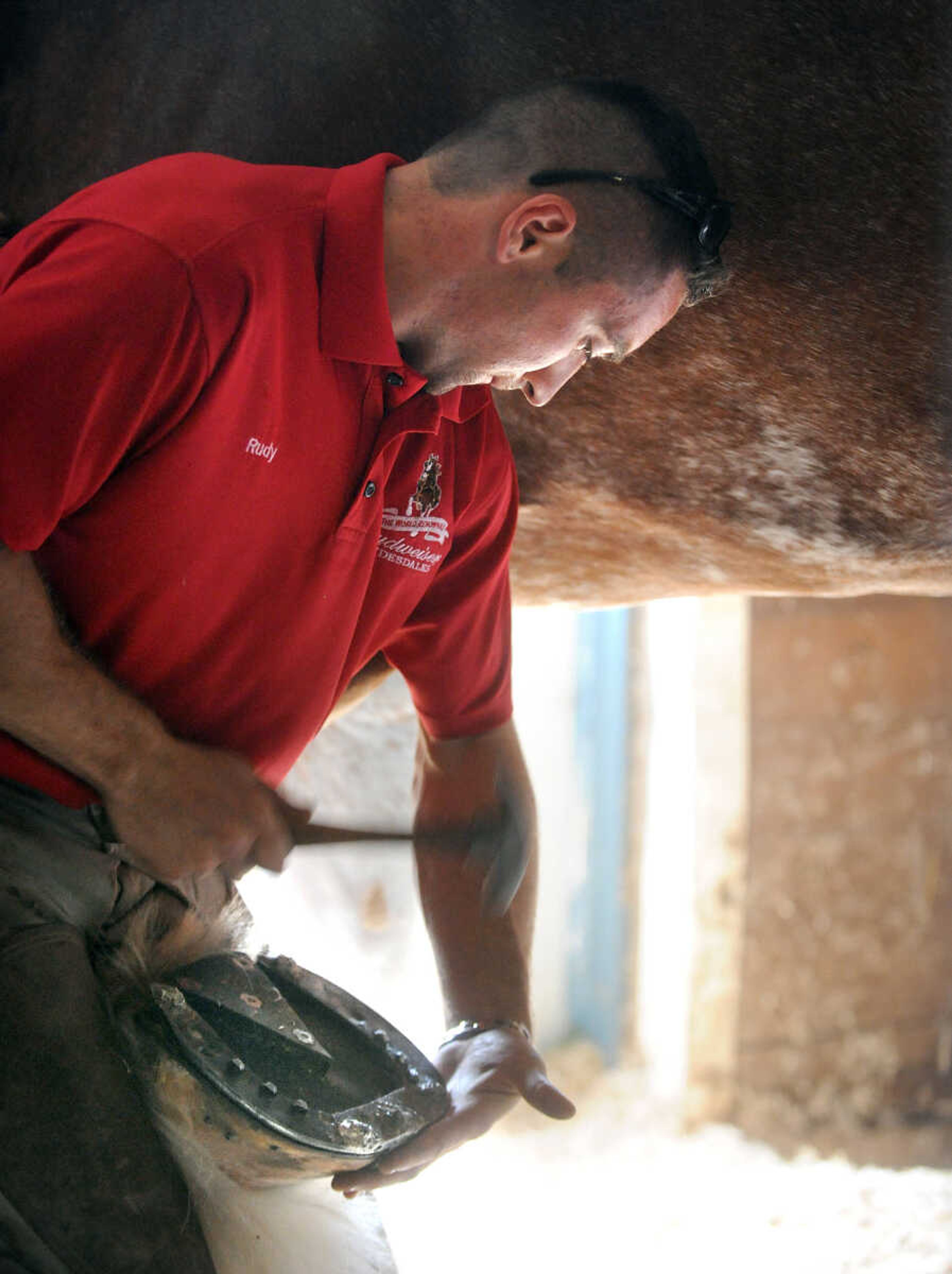 LAURA SIMON ~ lsimon@semissourian.com

Rudy Helmuth fixes loose nails on Zucco's horseshoe before the Budweiser Clydesdale's demonstration at The Hope Theraputic Horsemanship Center in Perryville, Missouri, Friday, June 20, 2014.