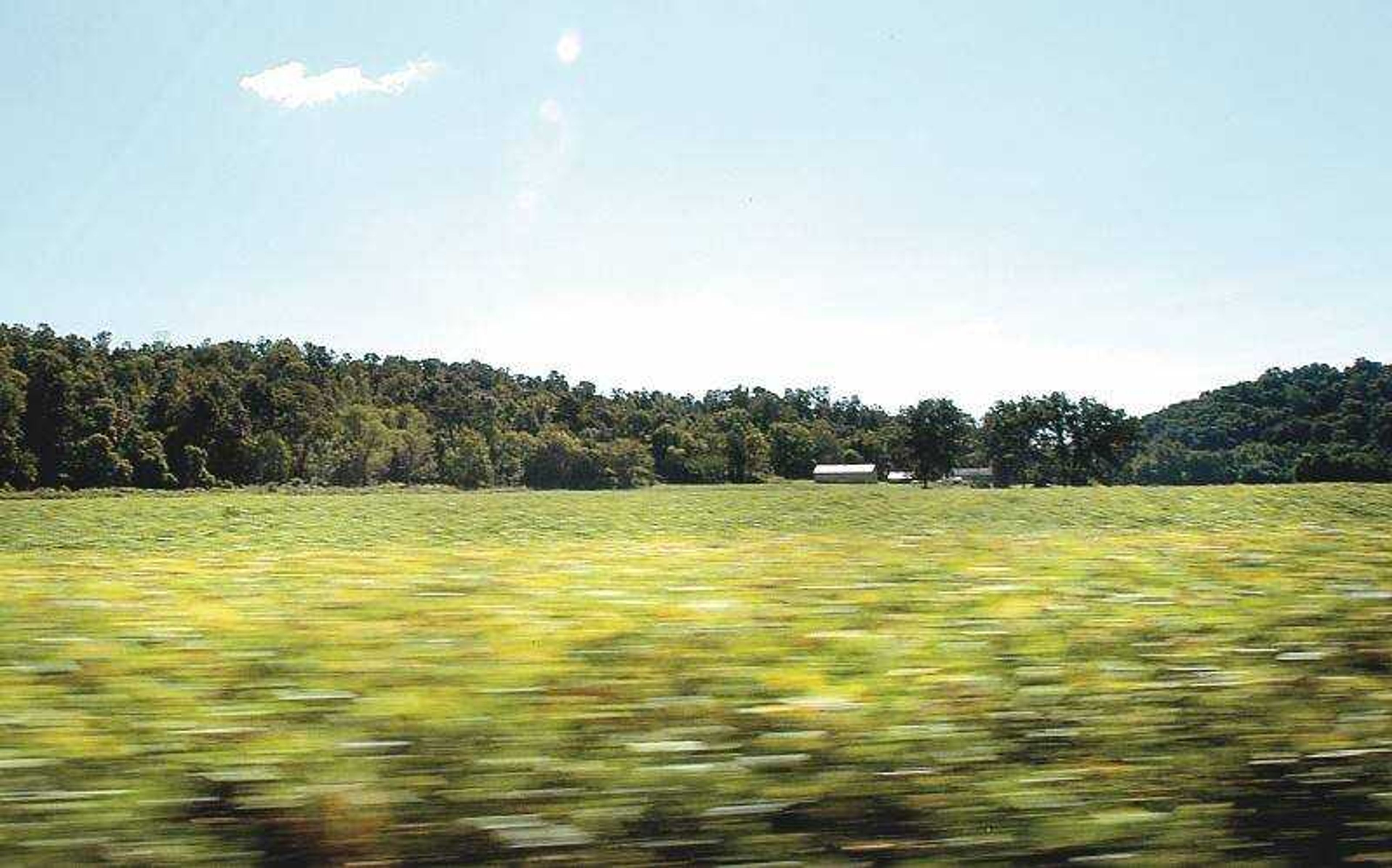 A farm is flanked by the Illinois Ozarks along Hutchins Creek. The Nature Conservancy is buying farmland nestled along the Ozarks to help area wildlife. (Diane L. Wilson)